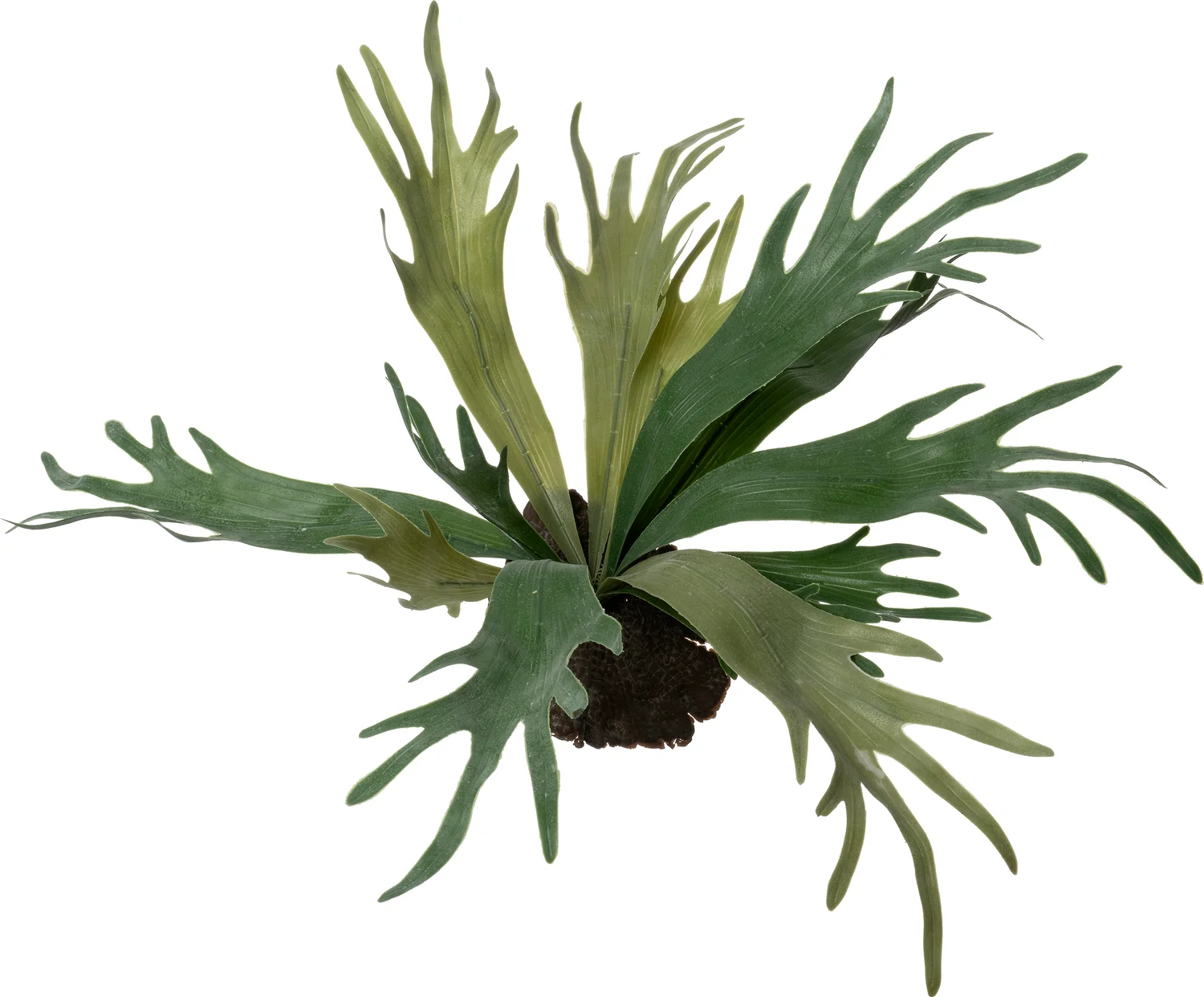 Intratuin kunstplant Hertshoornvaren D 55 H 40 cm