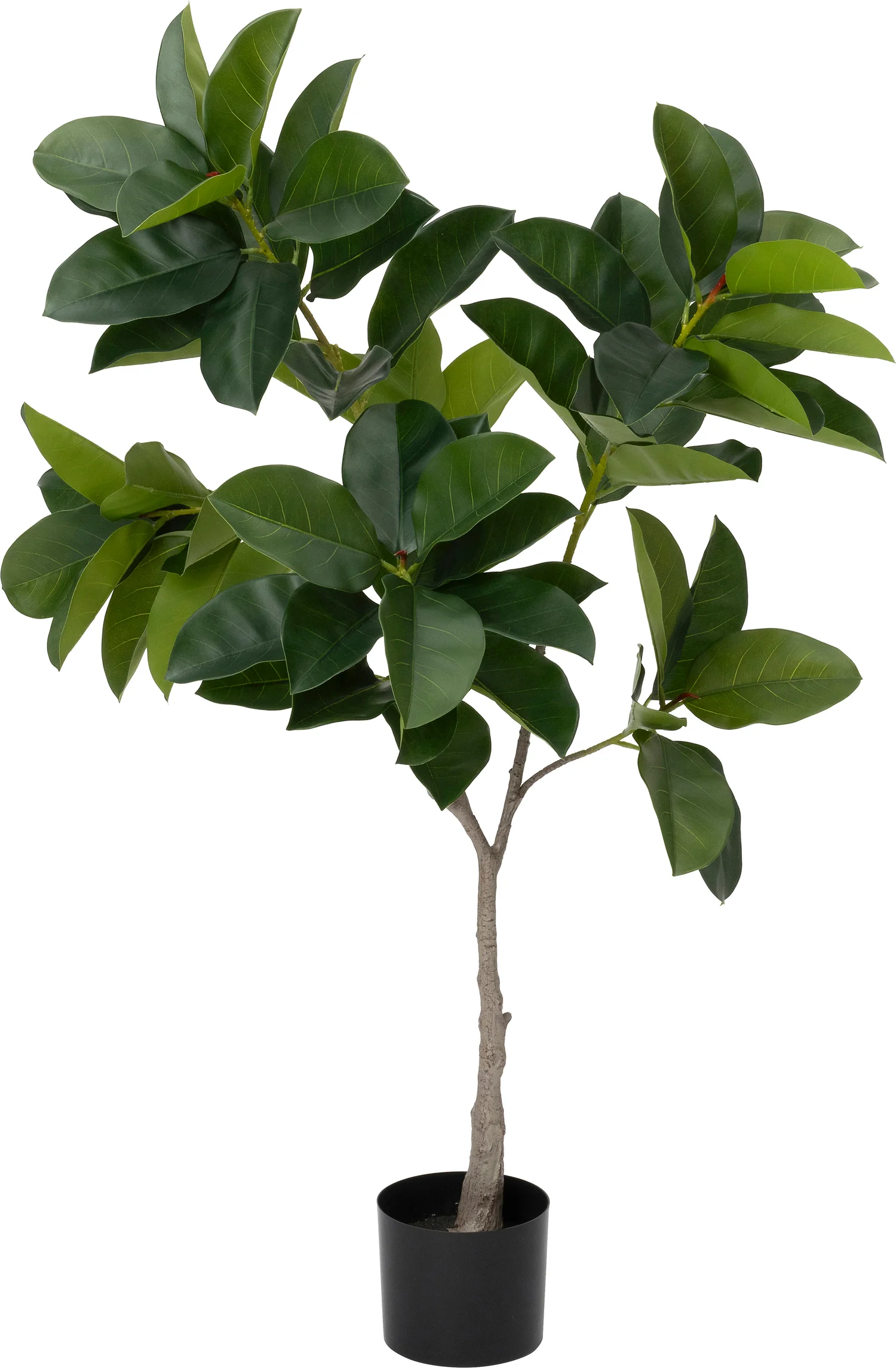 Intratuin kunstplant Bladvijg D 80 H 134 cm
