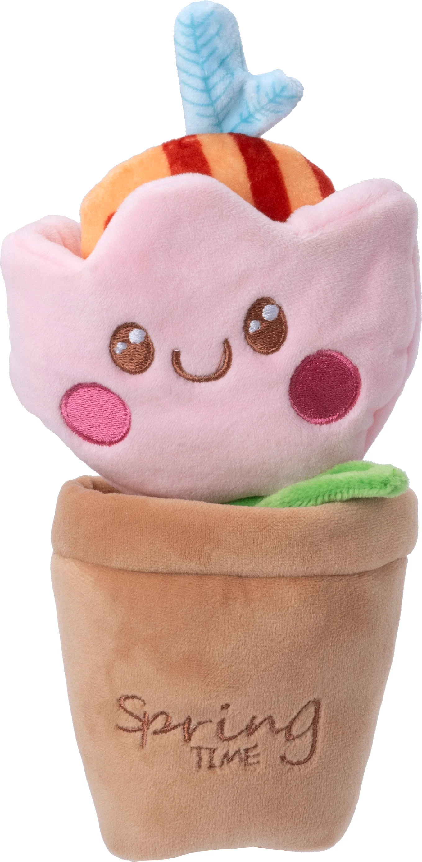 Intratuin knuffel plant in pot 10 x 6 x 24 cm