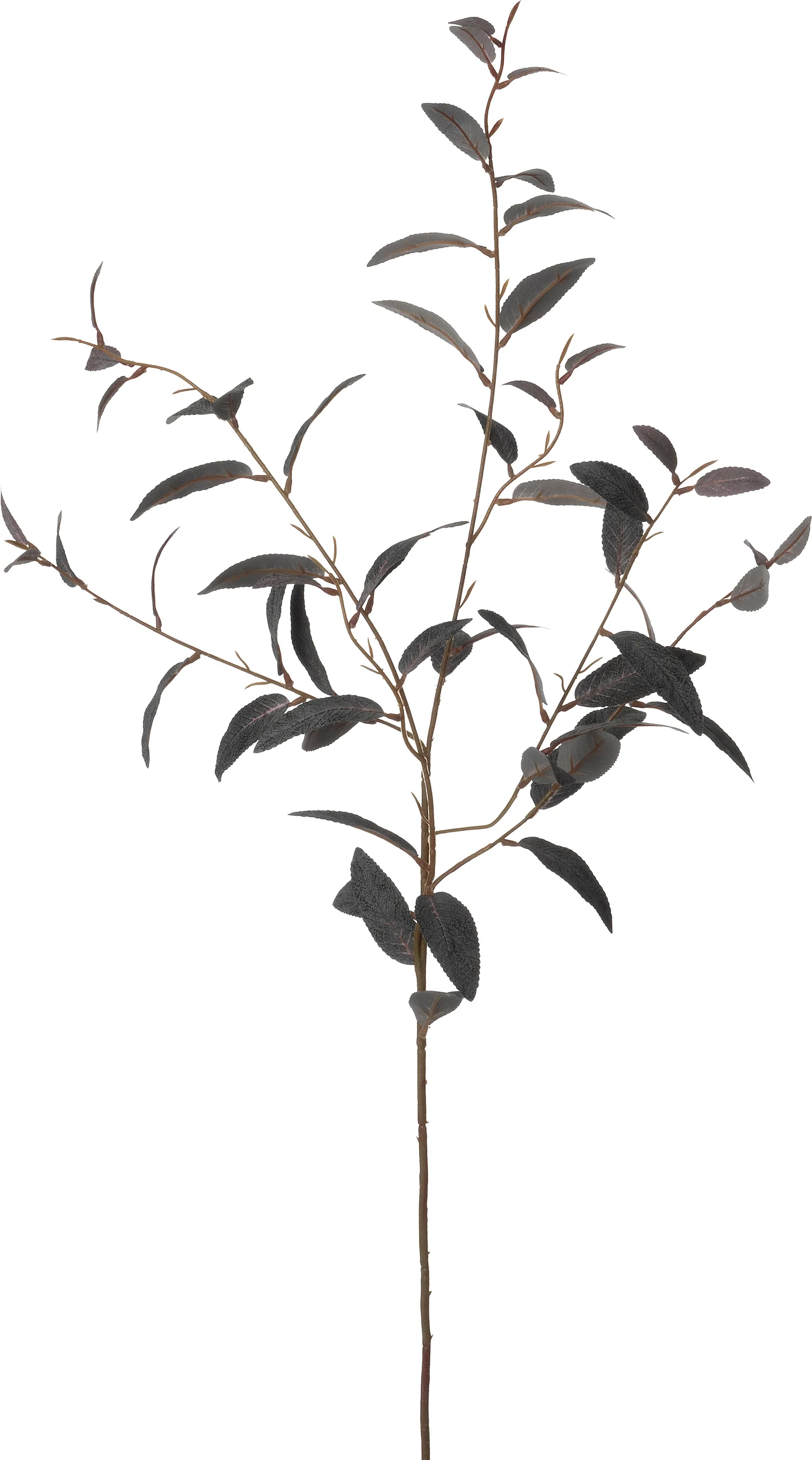 Intratuin kunsttak Eucalyptus paars 102 cm