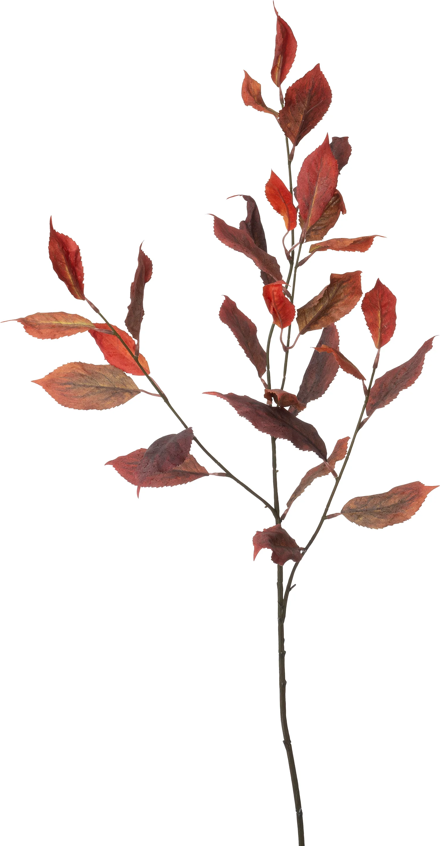 Intratuin kunsttak Eucalyptus oranje 114 cm