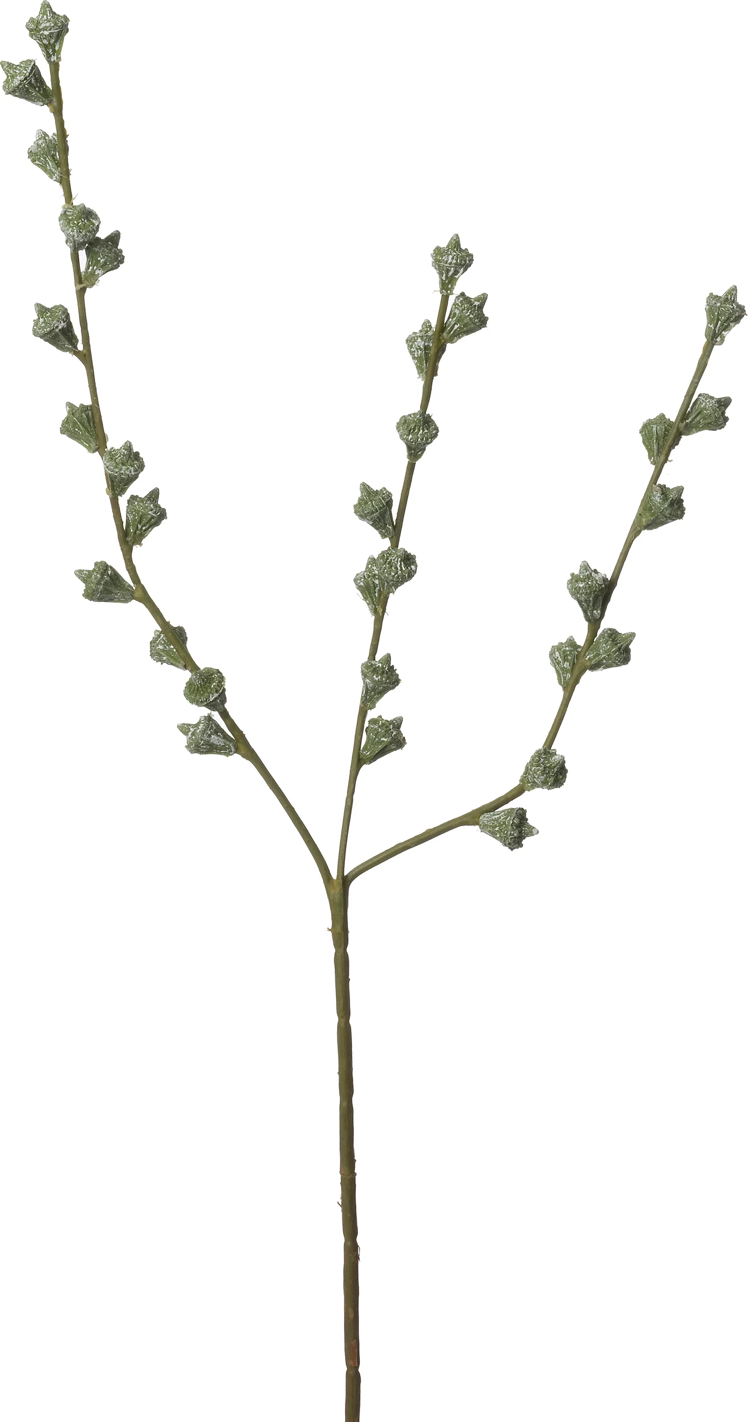 Intratuin kunsttak Eucalyptus zaden groen 60 cm