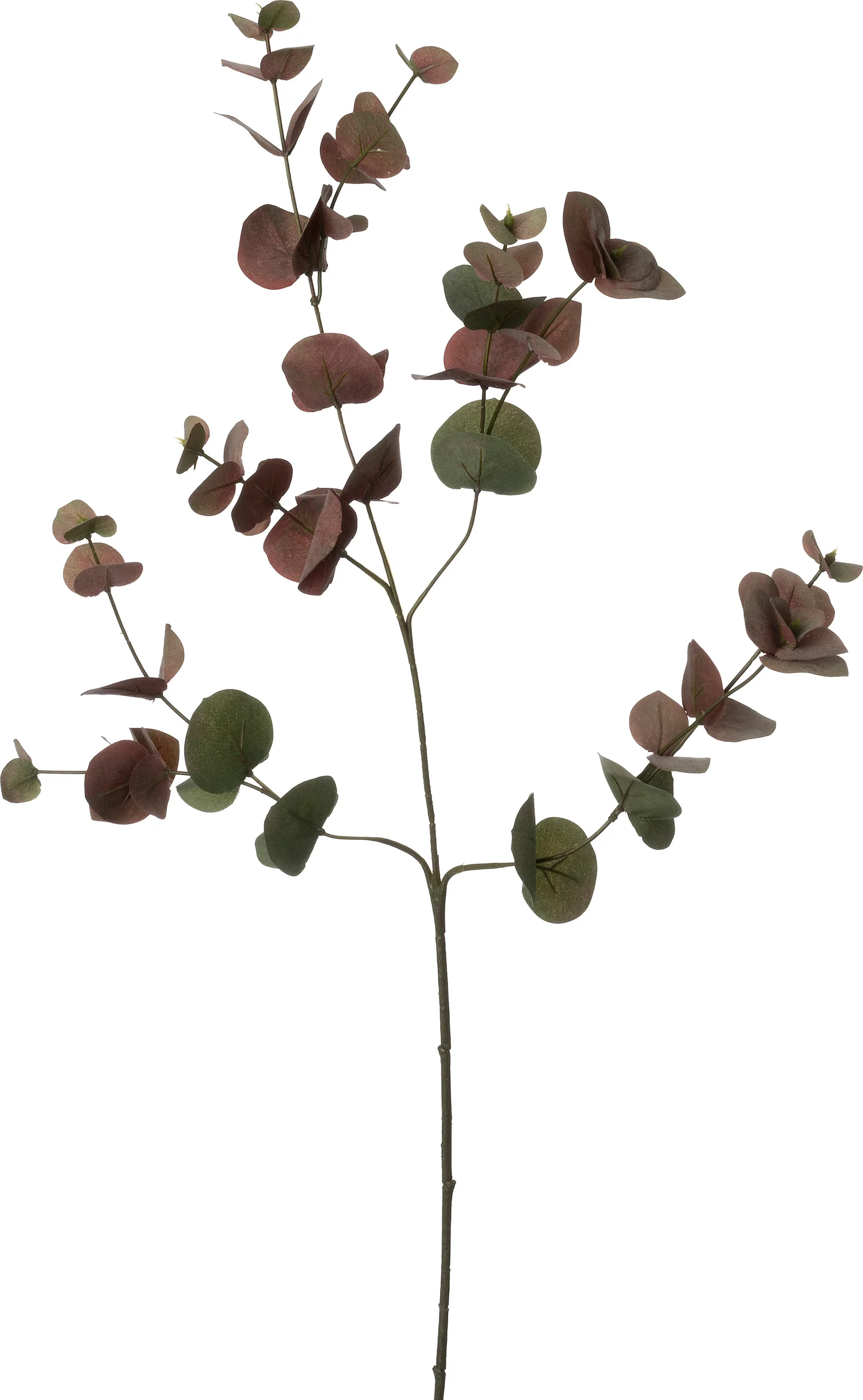 Intratuin kunsttak Eucalyptus rood groen 90 cm