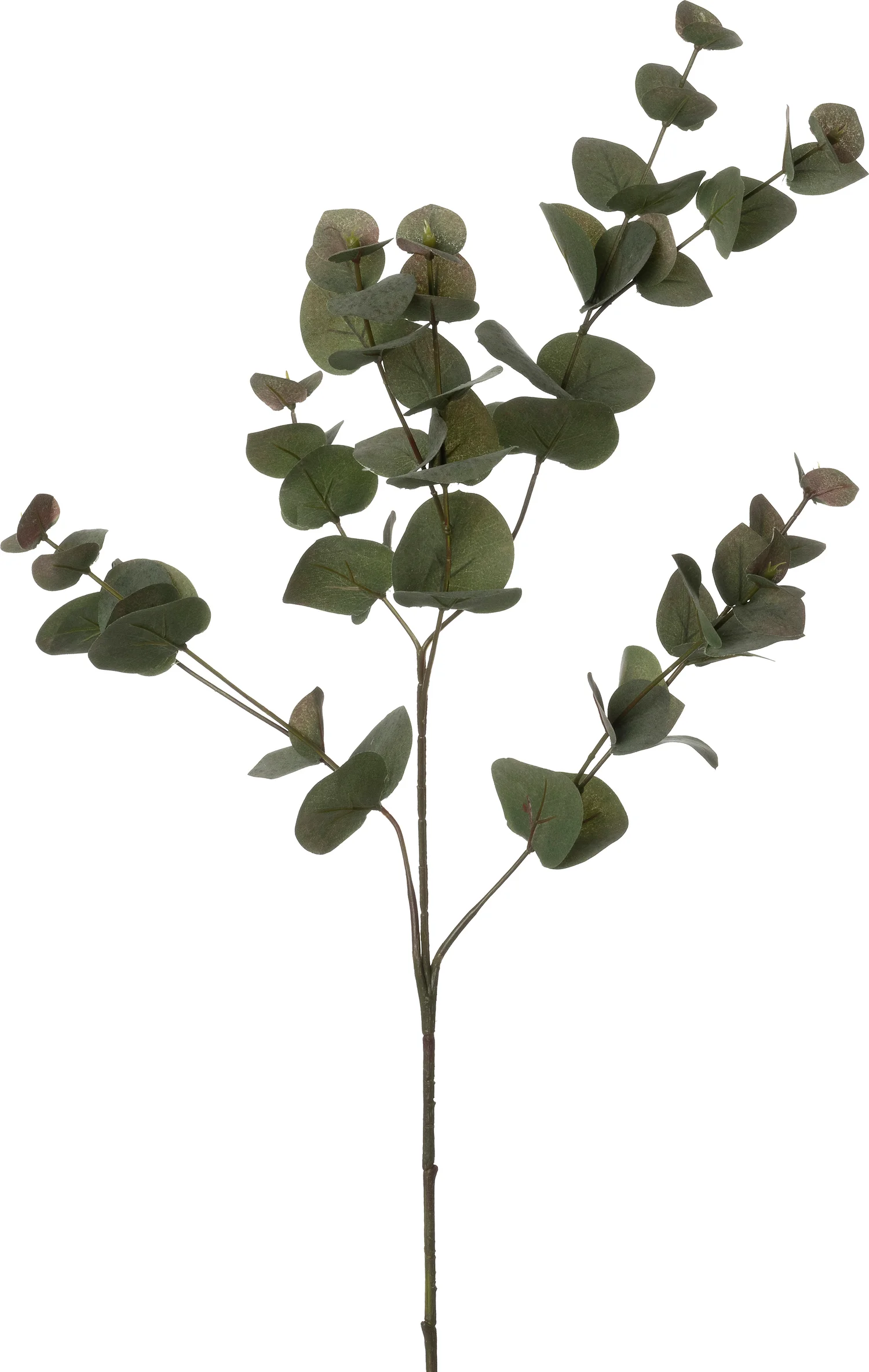 Intratuin kunsttak Eucalyptus groen 90 cm
