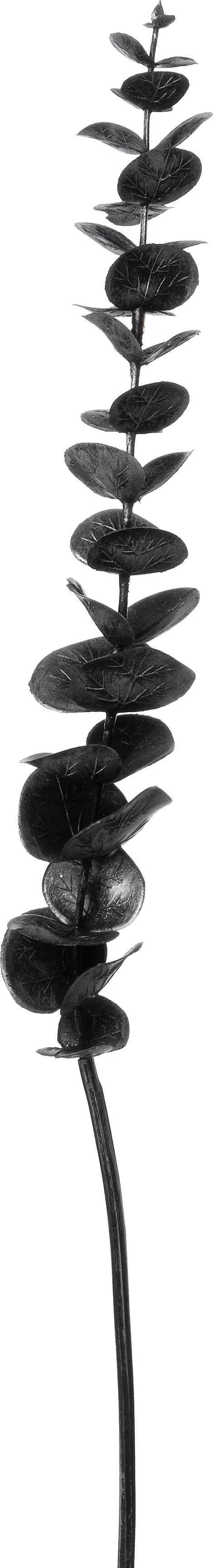 Intratuin kunsttak Eucalyptus zwart 58 cm
