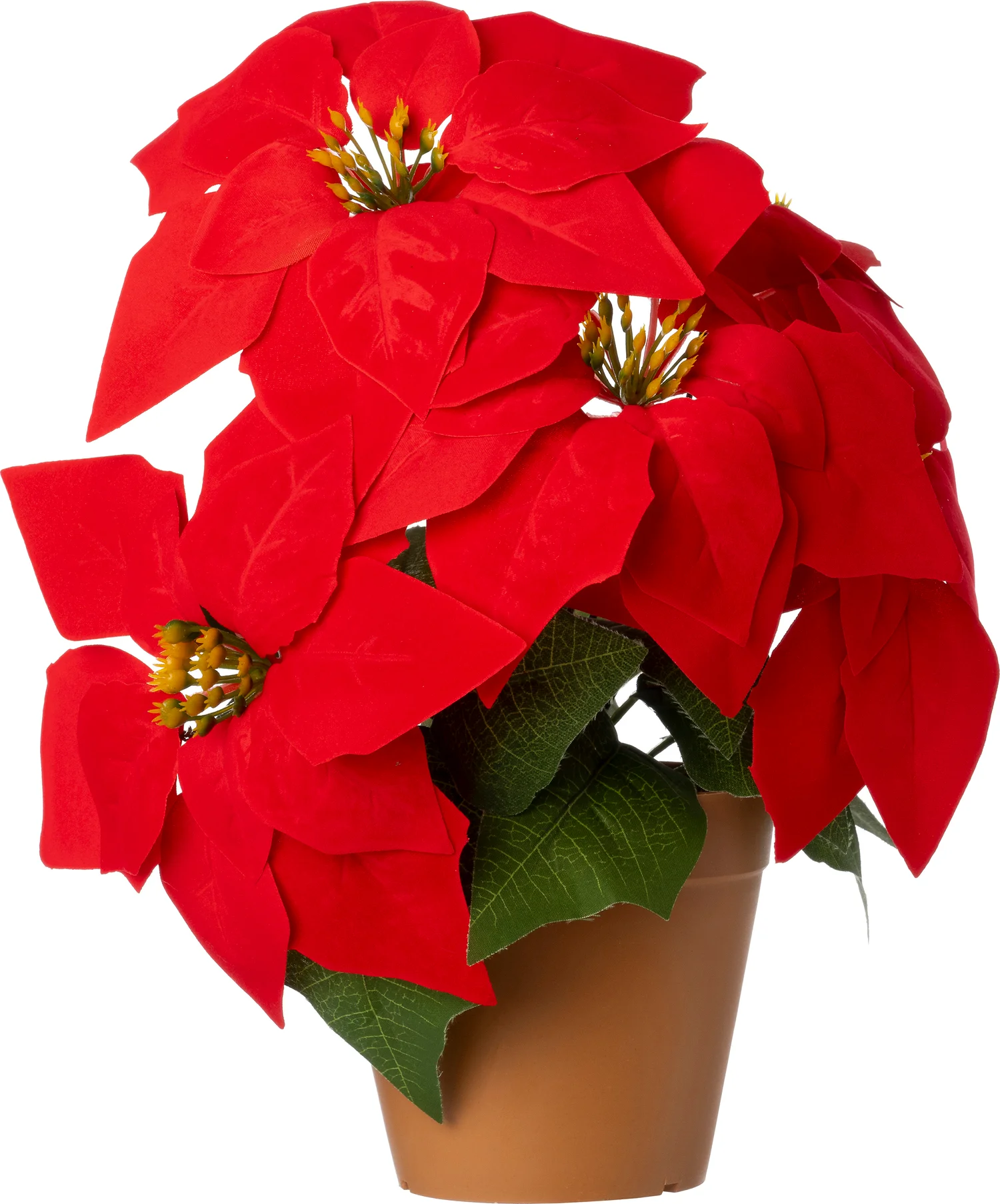 Intratuin kunstplant Kerstster rood D 30 H 32 cm