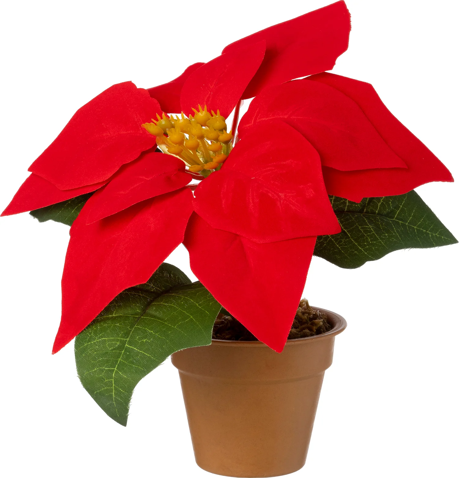 Intratuin kunstplant Kerstster rood D 20 H 17 cm