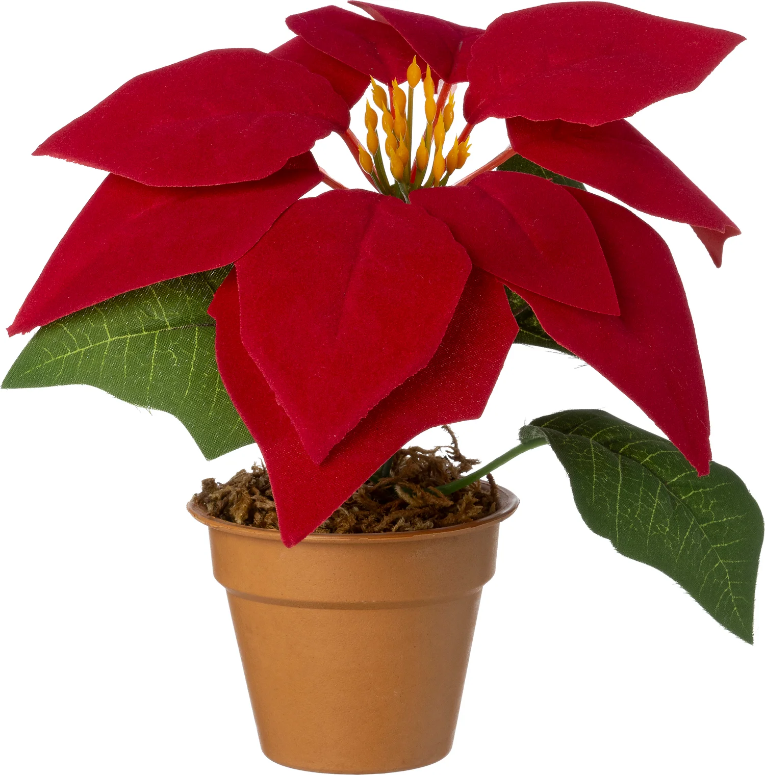 Intratuin kunstplant Kerstster donkerrood D 20 H 17 cm