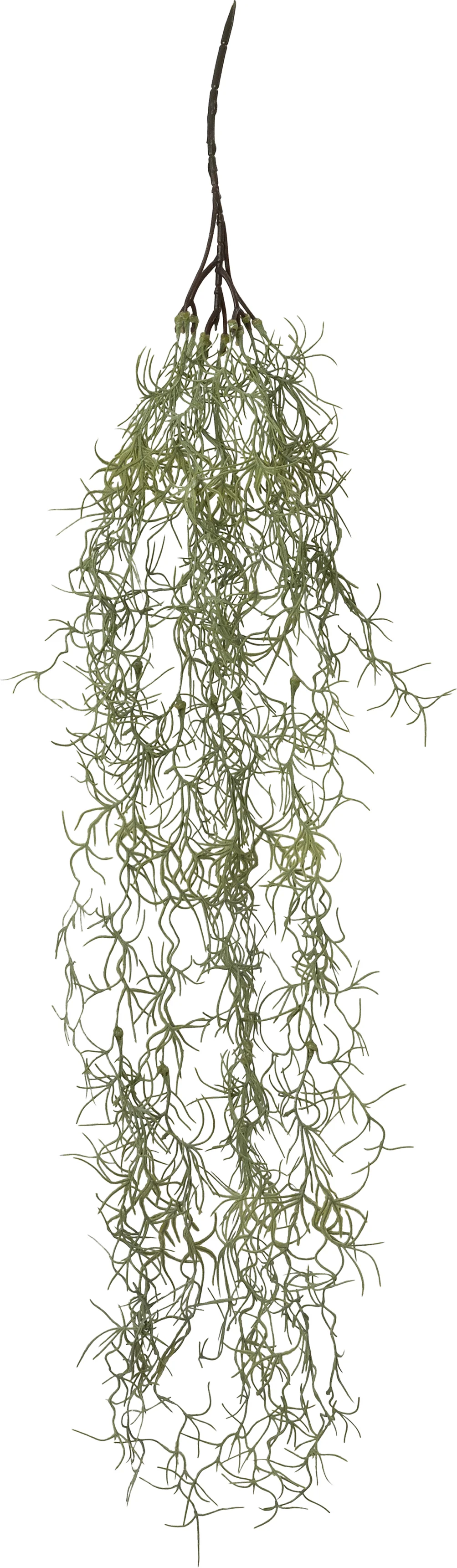 Intratuin kunsthangplant Tillandsia groen 15 x 20 x 90 cm
