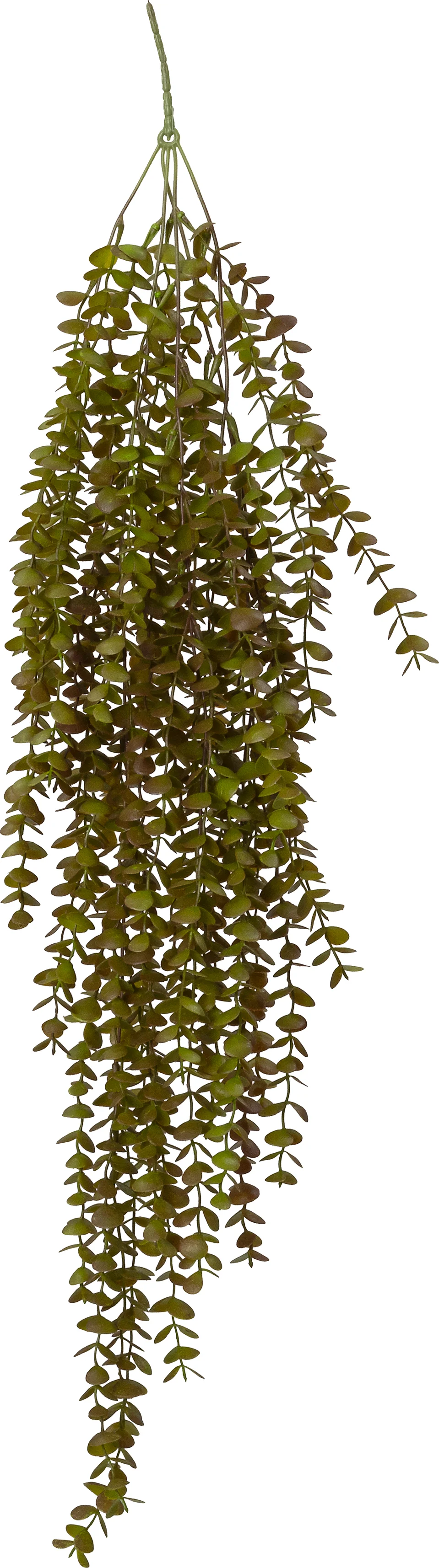 Intratuin kunsthangplant Kruiskruid rood groen 20 x 30 x 90 cm