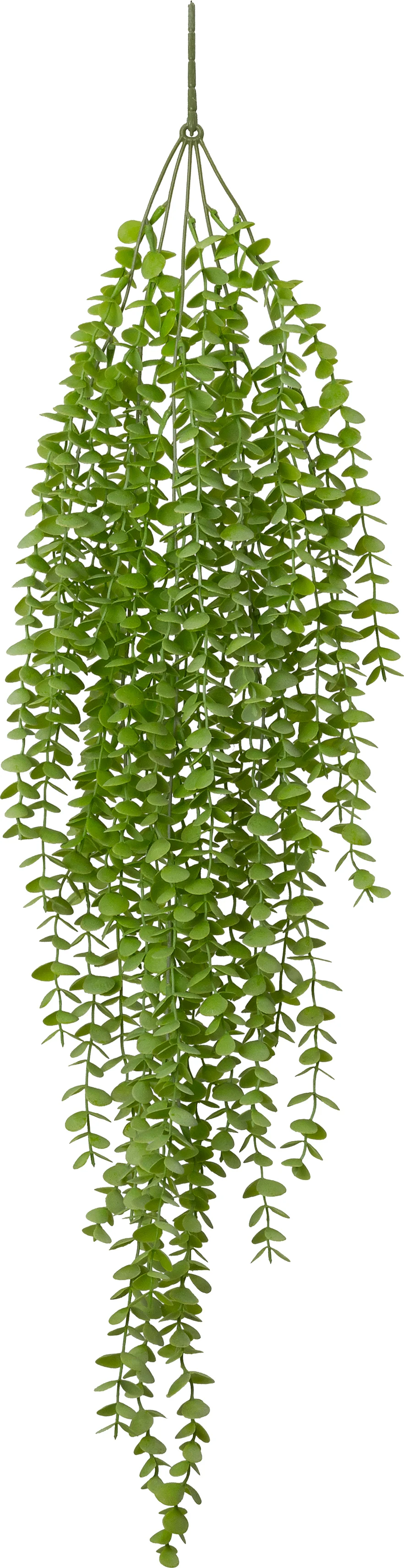 Intratuin kunsthangplant Kruiskruid witbont 20 x 30 x 90 cm