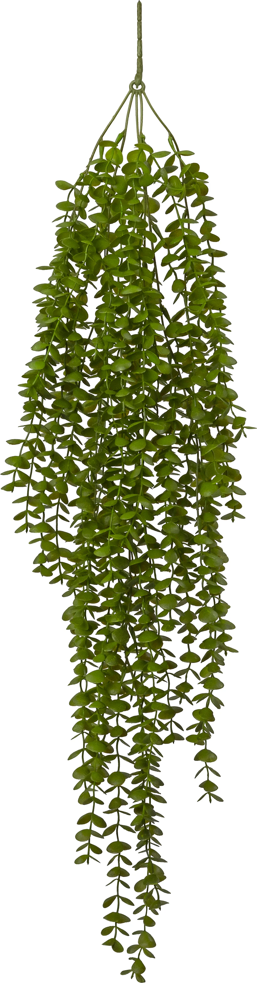 Intratuin kunsthangplant Kruiskruid groen 20 x 30 x 90 cm