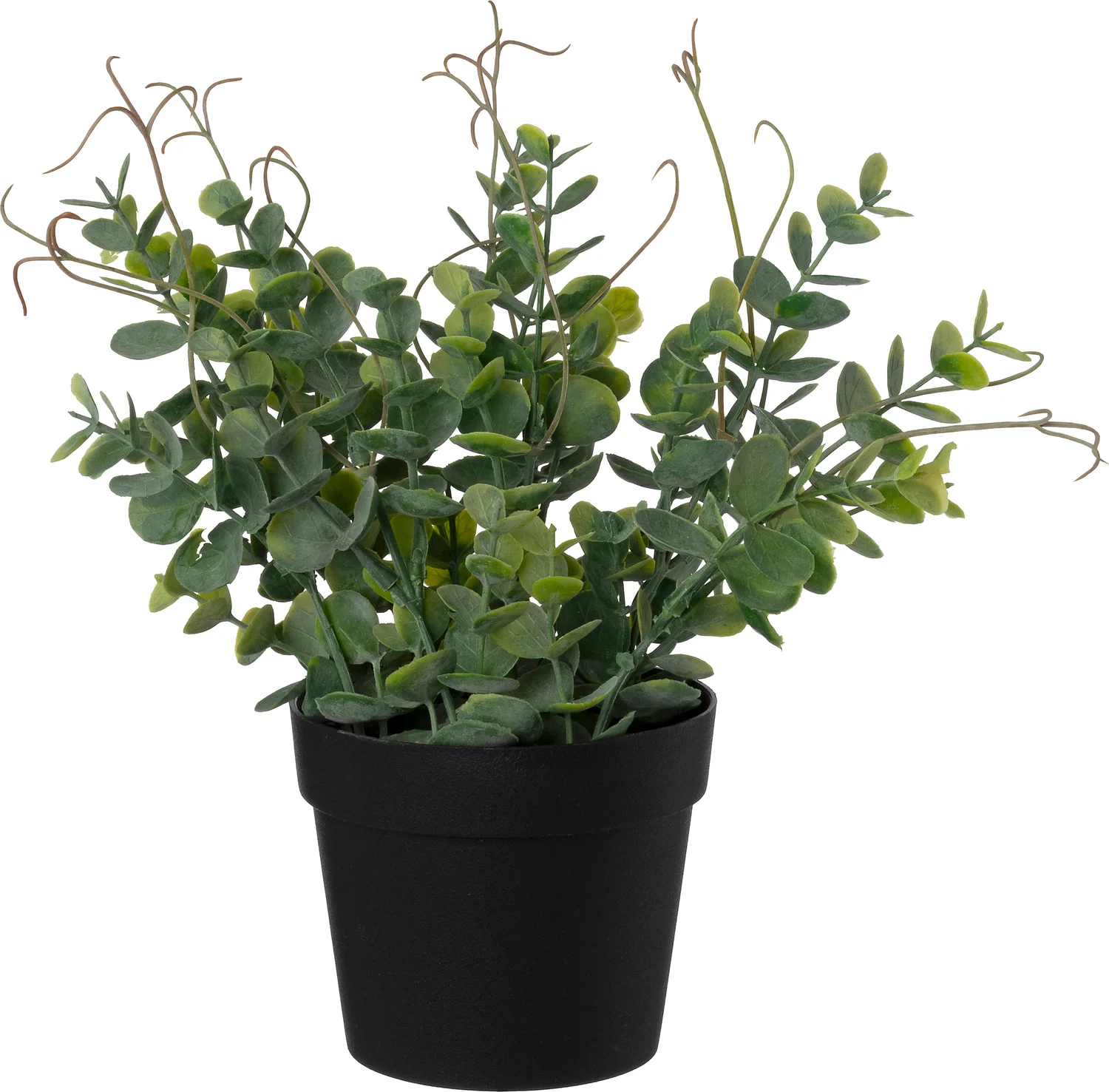 Intratuin kunstplant Eucalyptus 30 x 25 x 25 cm
