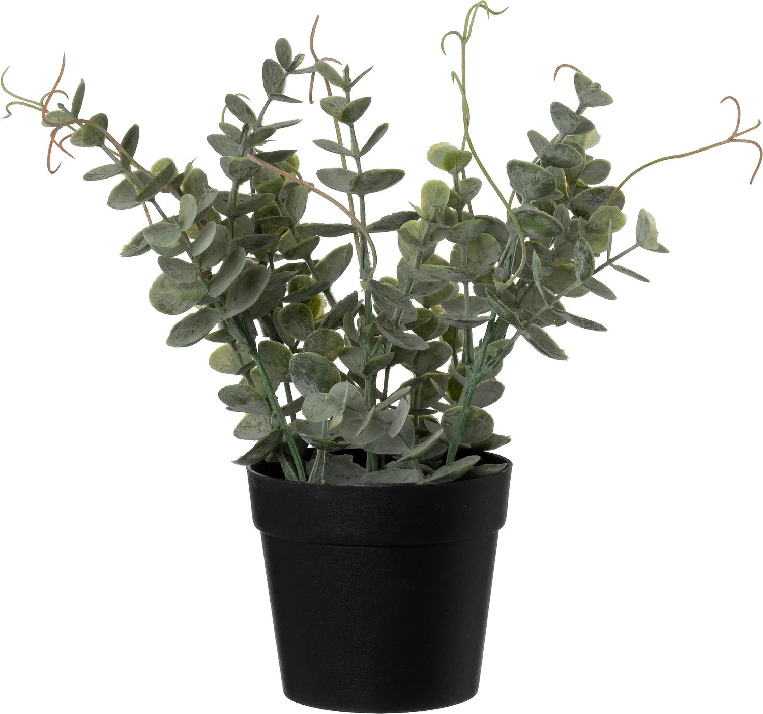Intratuin kunstplant Eucalyptus 15 x 20 x 23 cm