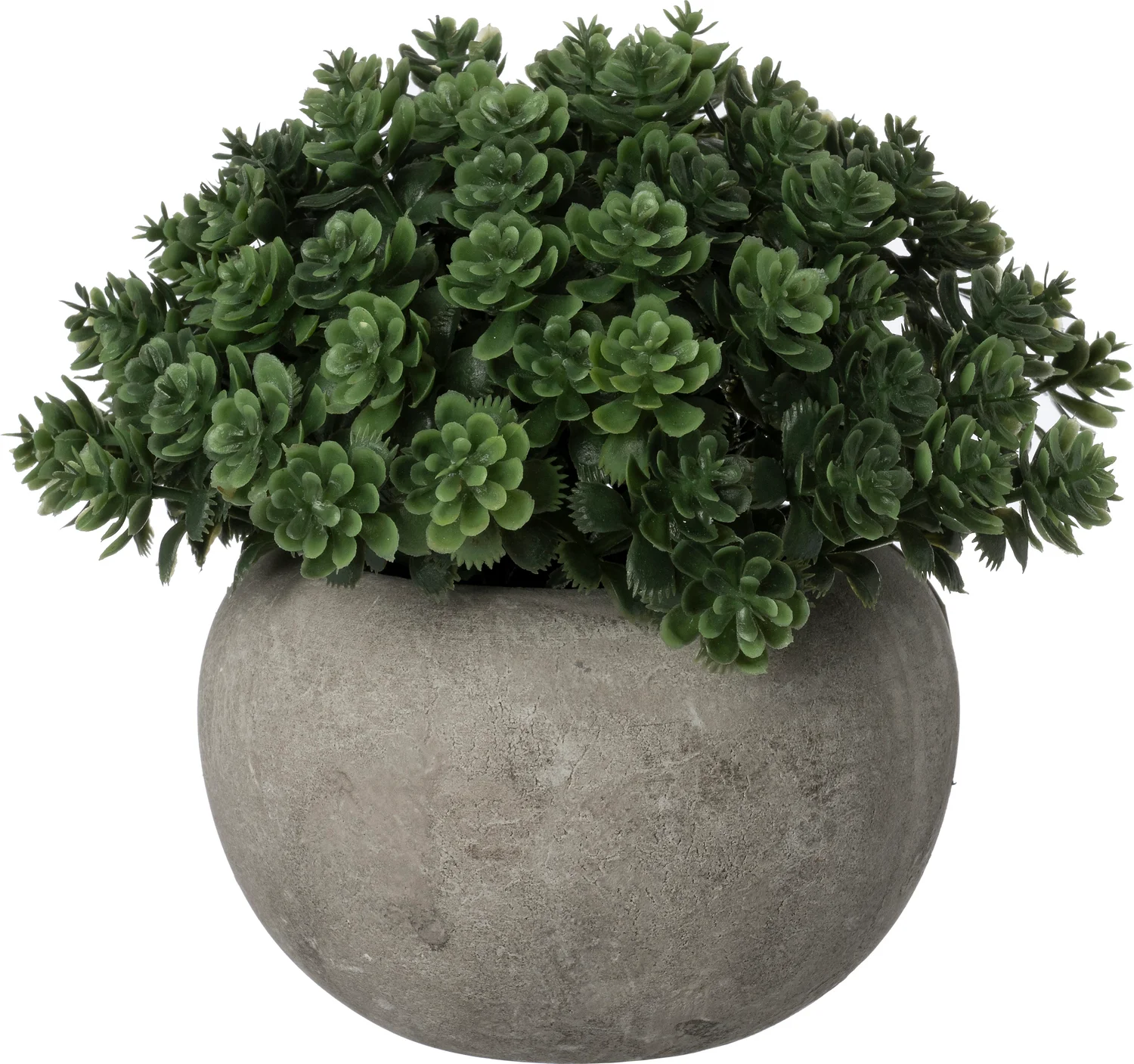 Intratuin kunstplant Sedum D 12 H 12,5 cm
