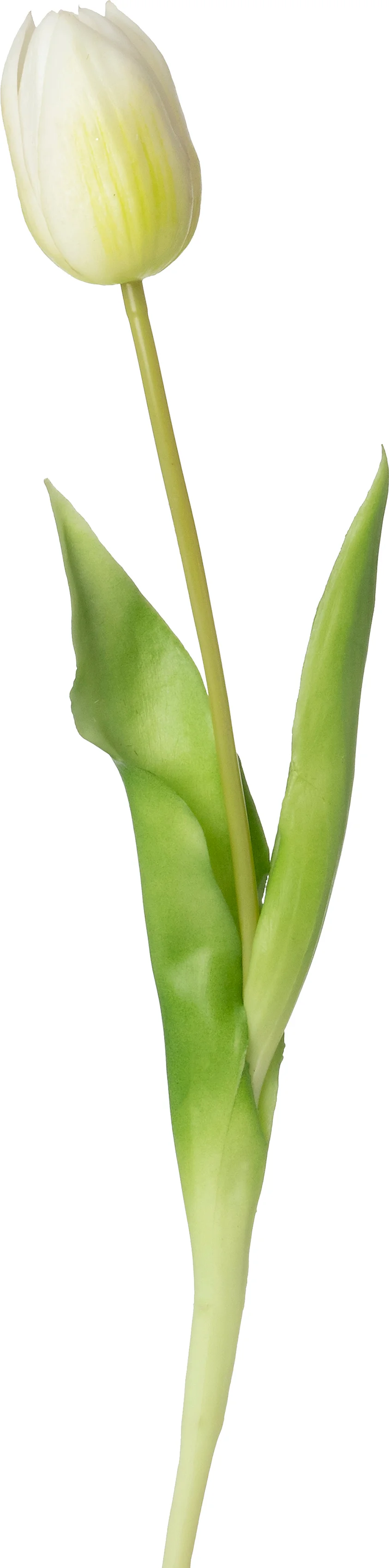 Intratuin kunstbloem Tulp wit 44 cm