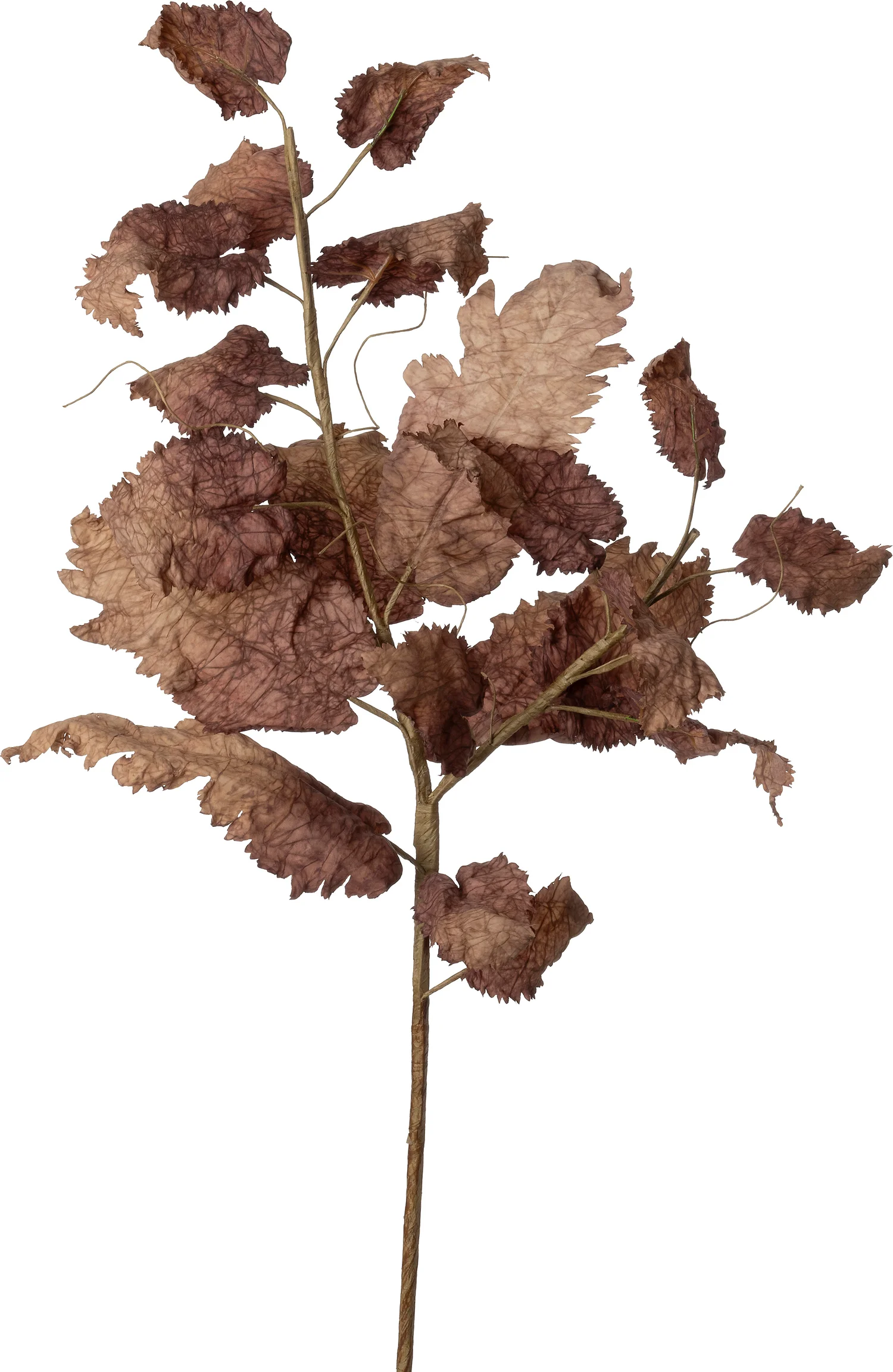 Intratuin kunsttak Druif bruin 86 cm