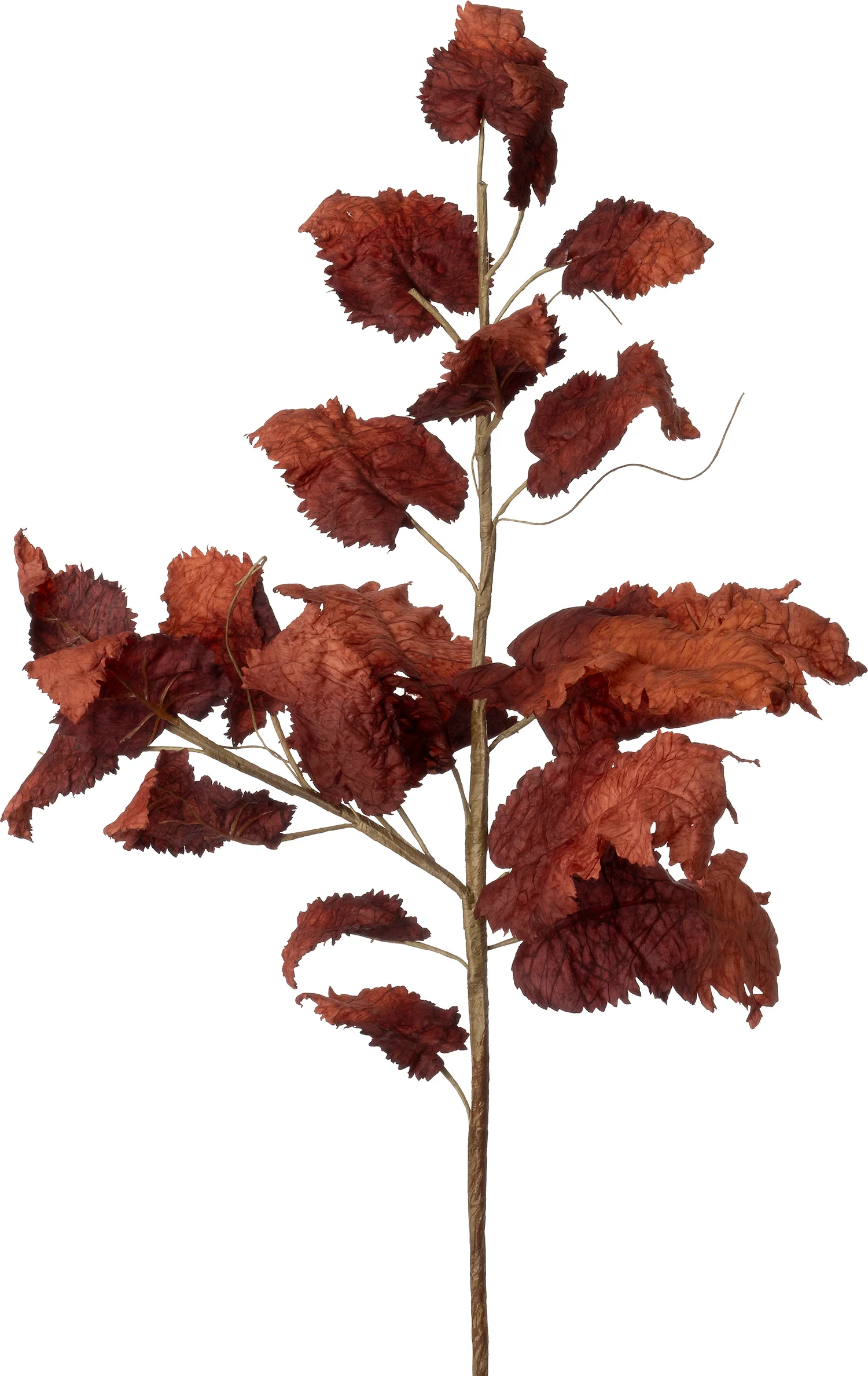 Intratuin kunsttak Druif rood 86 cm