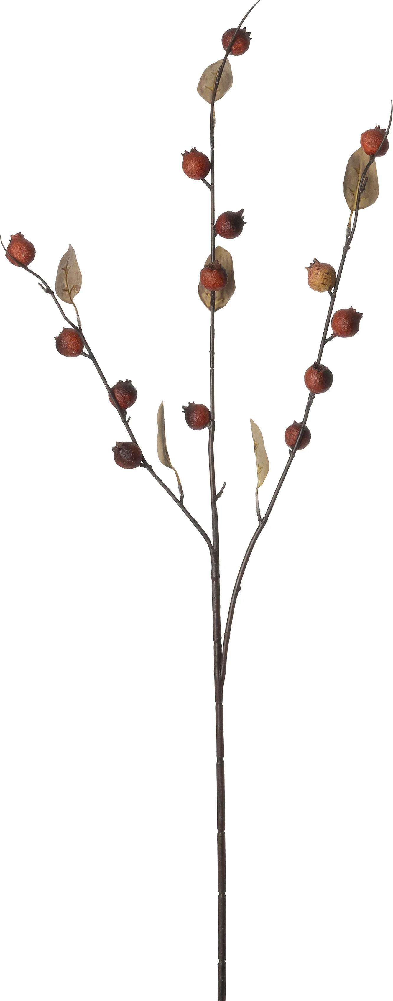 Intratuin kunsttak Granaatappel bruin 104 cm