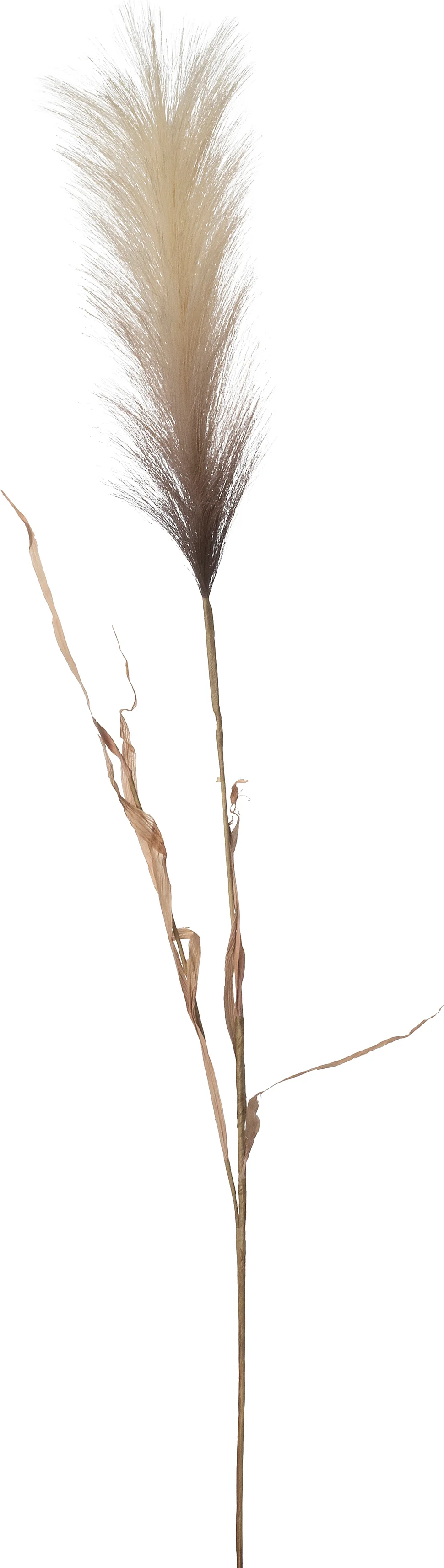 Intratuin kunsttak Pampasgras crème 109 cm