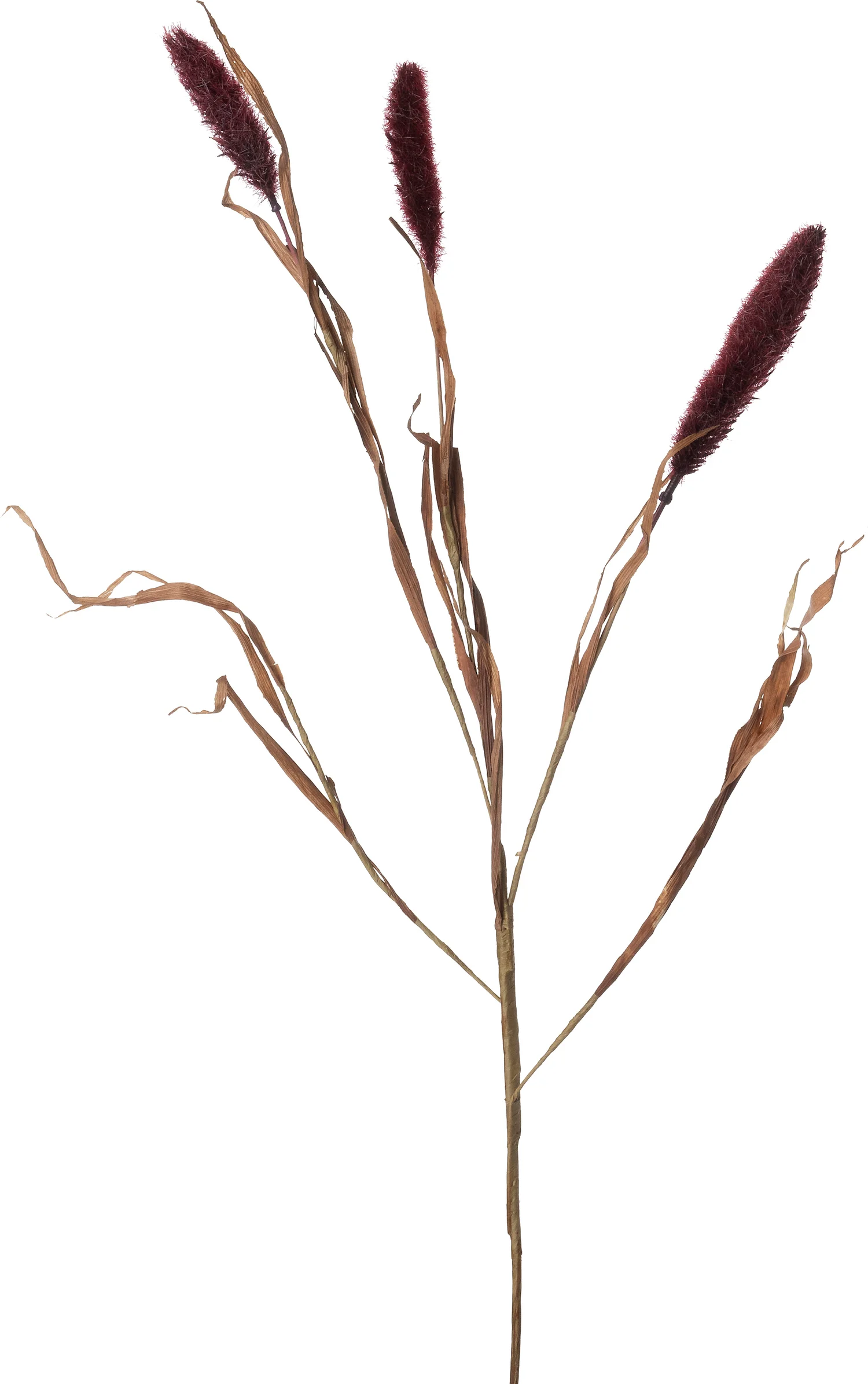 Intratuin kunsttak Lampenpoetsersgras rood 94 cm