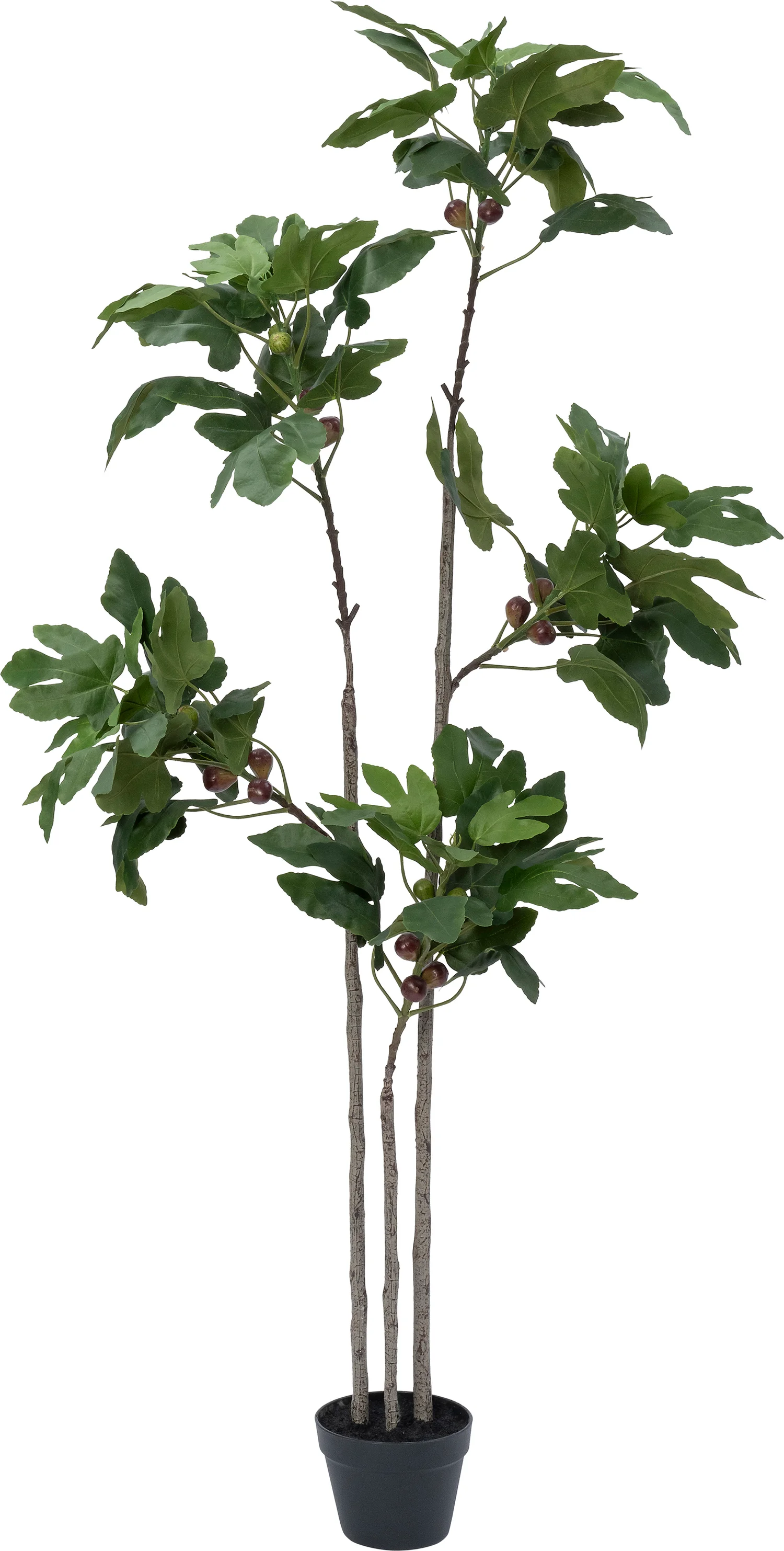 Intratuin kunstplant Vijg 33 x 34 x 170 cm
