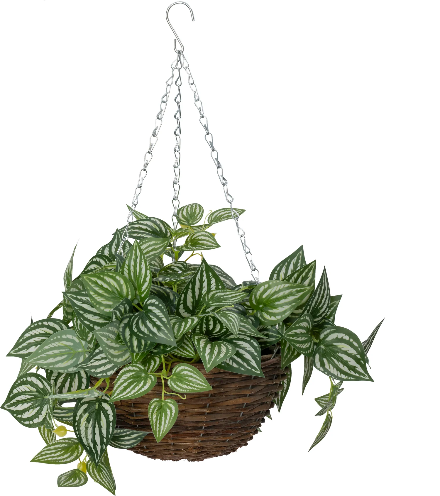 Intratuin kunsthangplant Peperomia groen 25 x 25 x 50 cm
