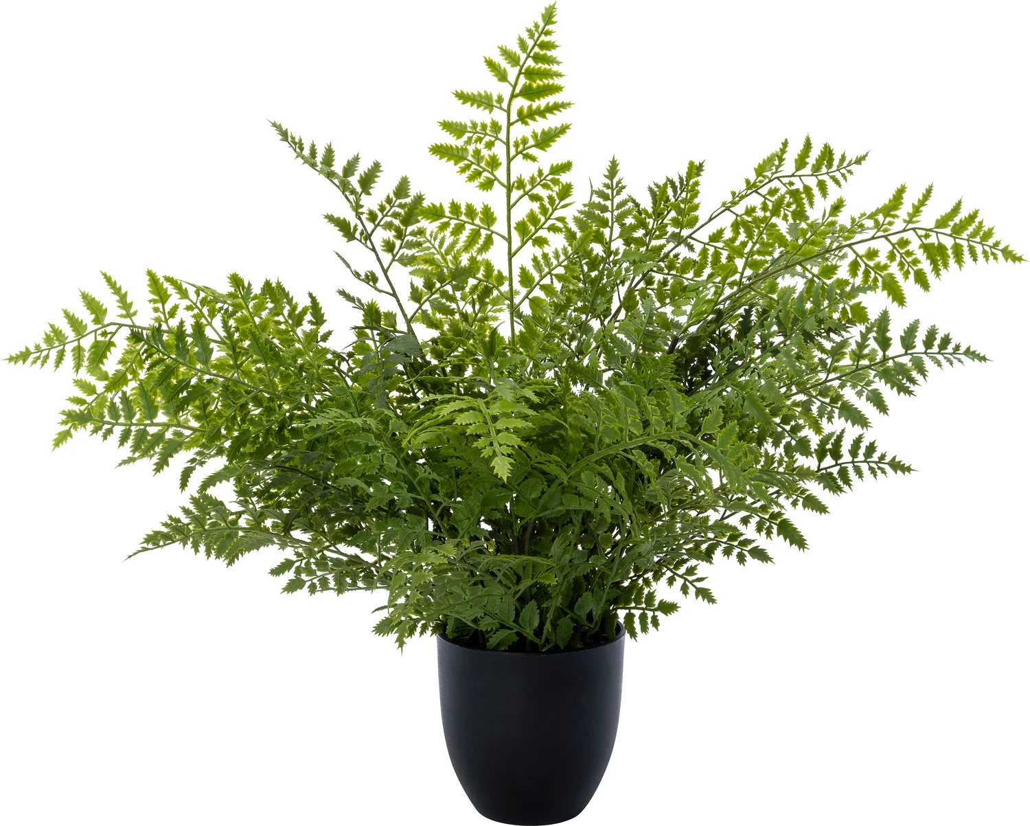 Intratuin kunstplant Varen 51 x 65 x 65 cm
