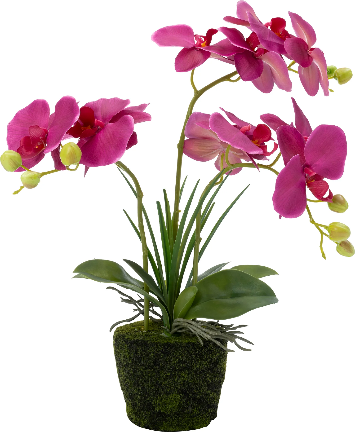 Intratuin kunstplant Vlinderorchidee donker roze 43 x 50 x 50 cm
