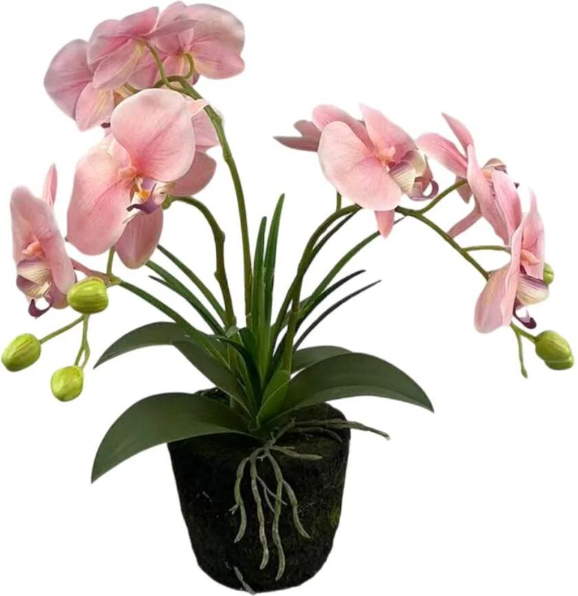 Intratuin kunstplant vlinderorchidee roze D 13 H 43 cm