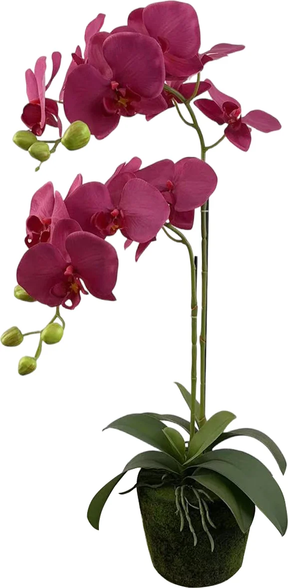 Intratuin kunstplant Vlinderorchidee paars D 15 H 70 cm