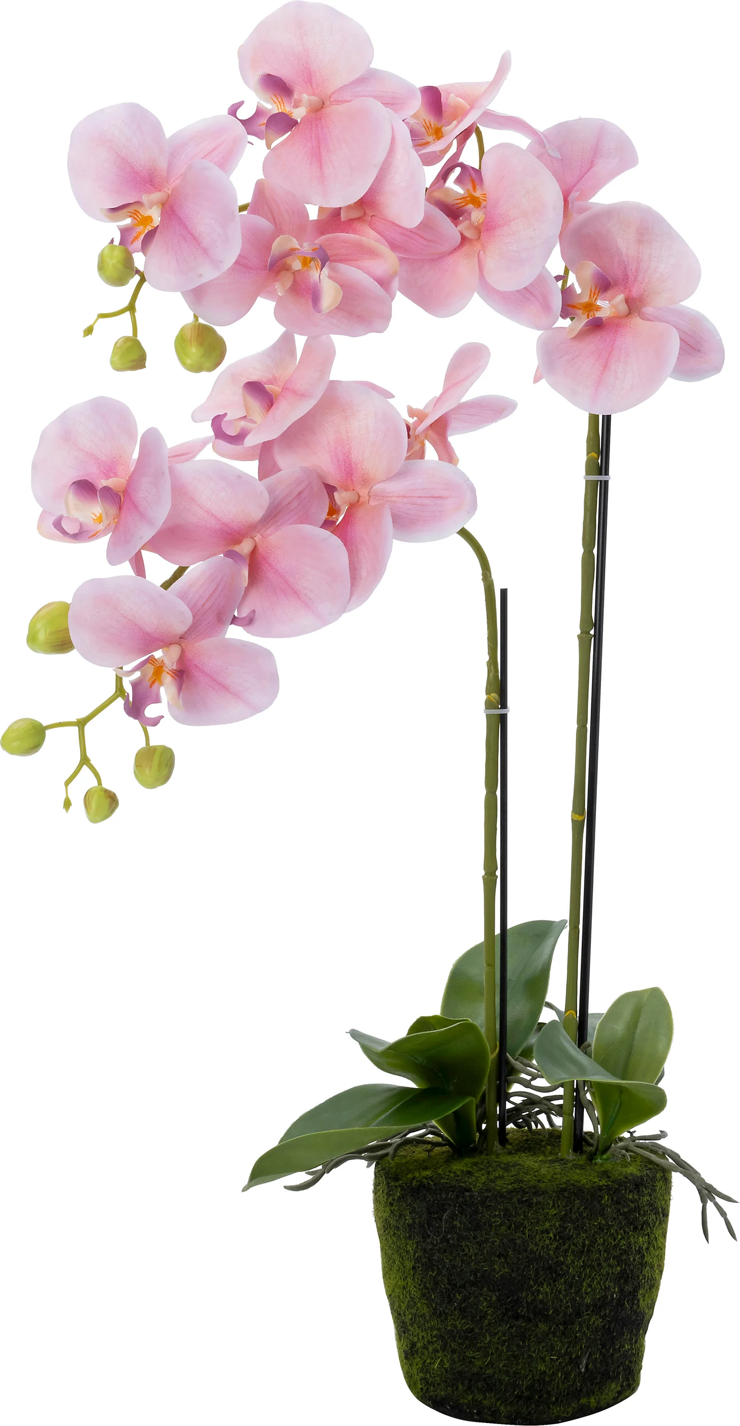 Intratuin kunstplant Vlinderorchidee licht roze 40 x 40 x 70 cm