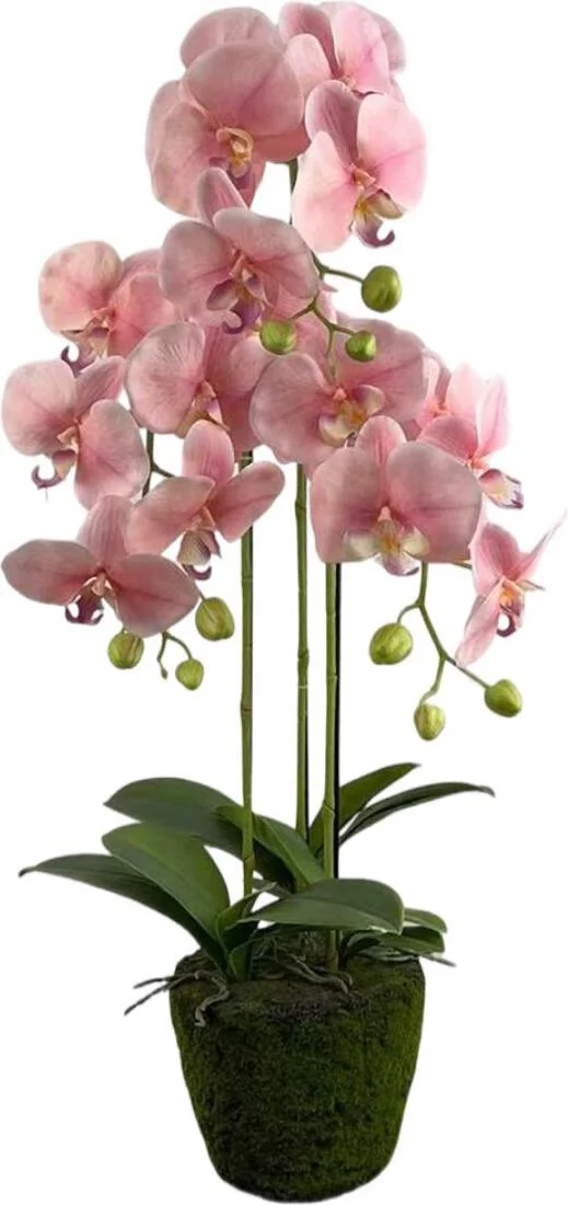 Intratuin kunstplant vlinderorchidee roze D 18 H 85 cm
