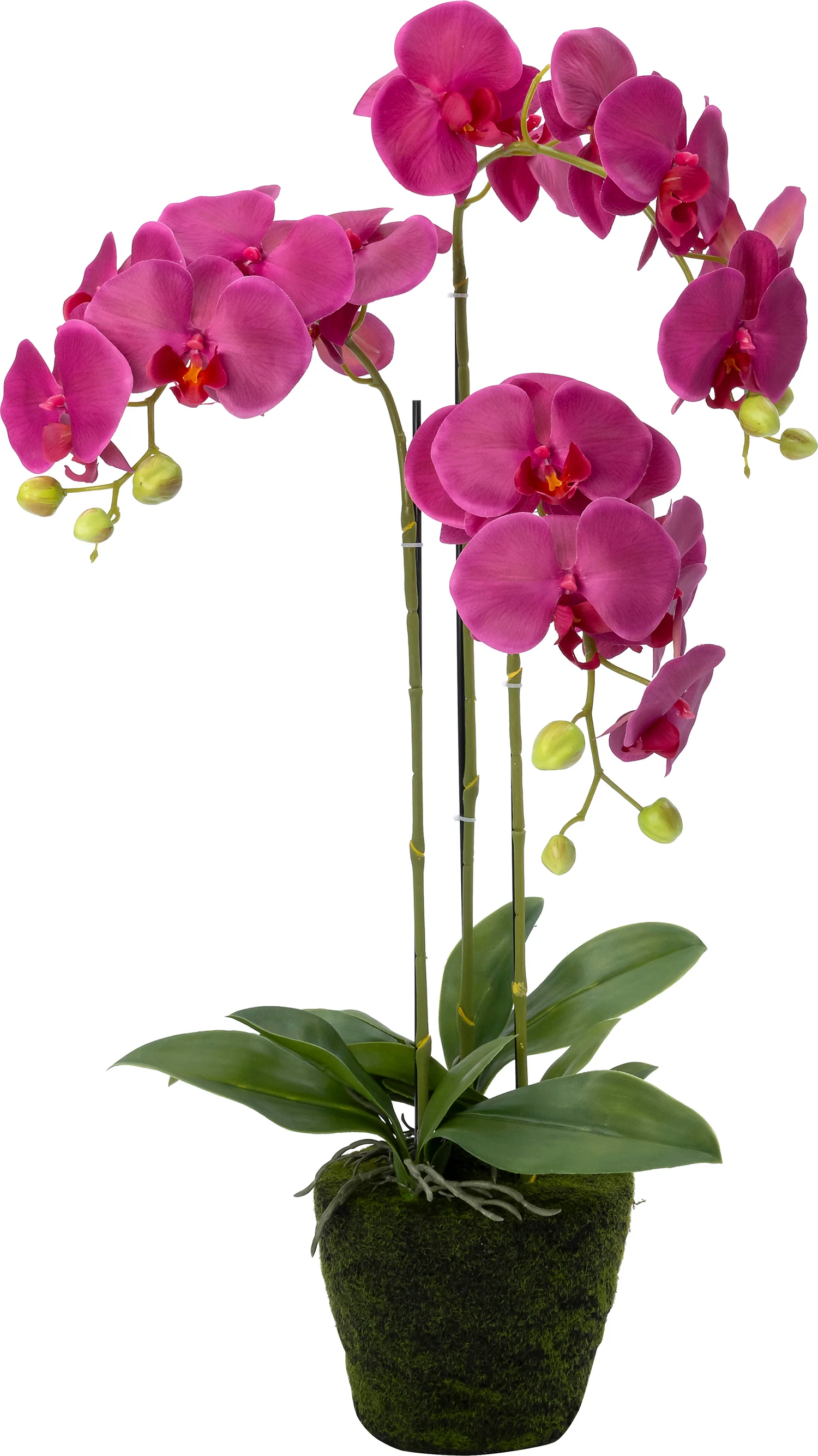 Intratuin kunstplant Vlinderorchidee donker roze 35 x 35 x 85 cm