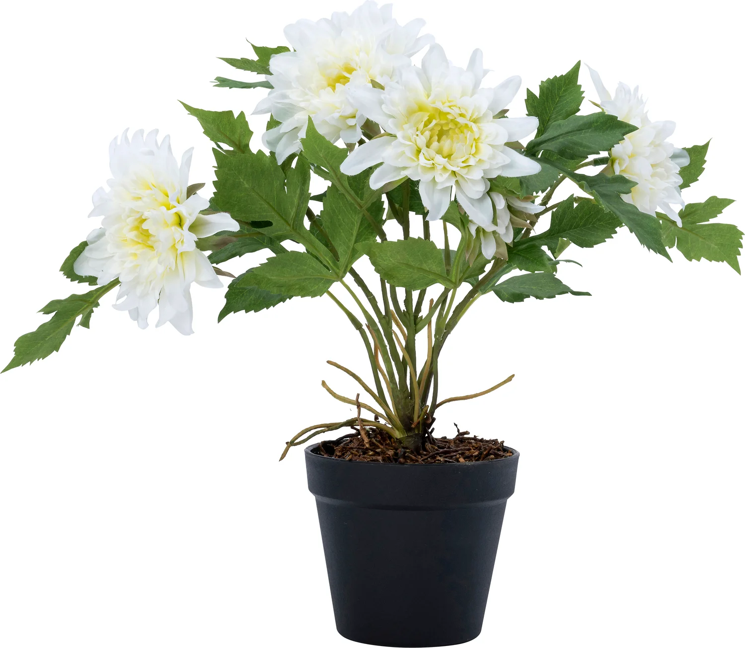 Intratuin kunstplant Dahlia wit 40 x 40 x 45 cm
