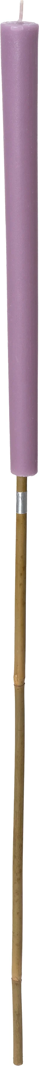Intratuin kaars Teran paars 3 uur D 3 H 100 cm