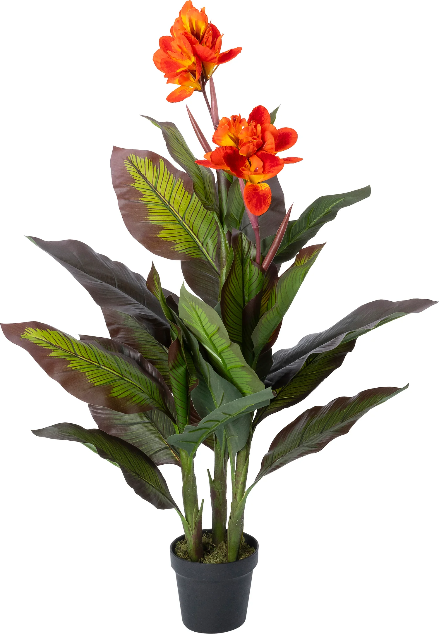 Intratuin kunstplant Canna oranje 45 x 45 x 120 cm