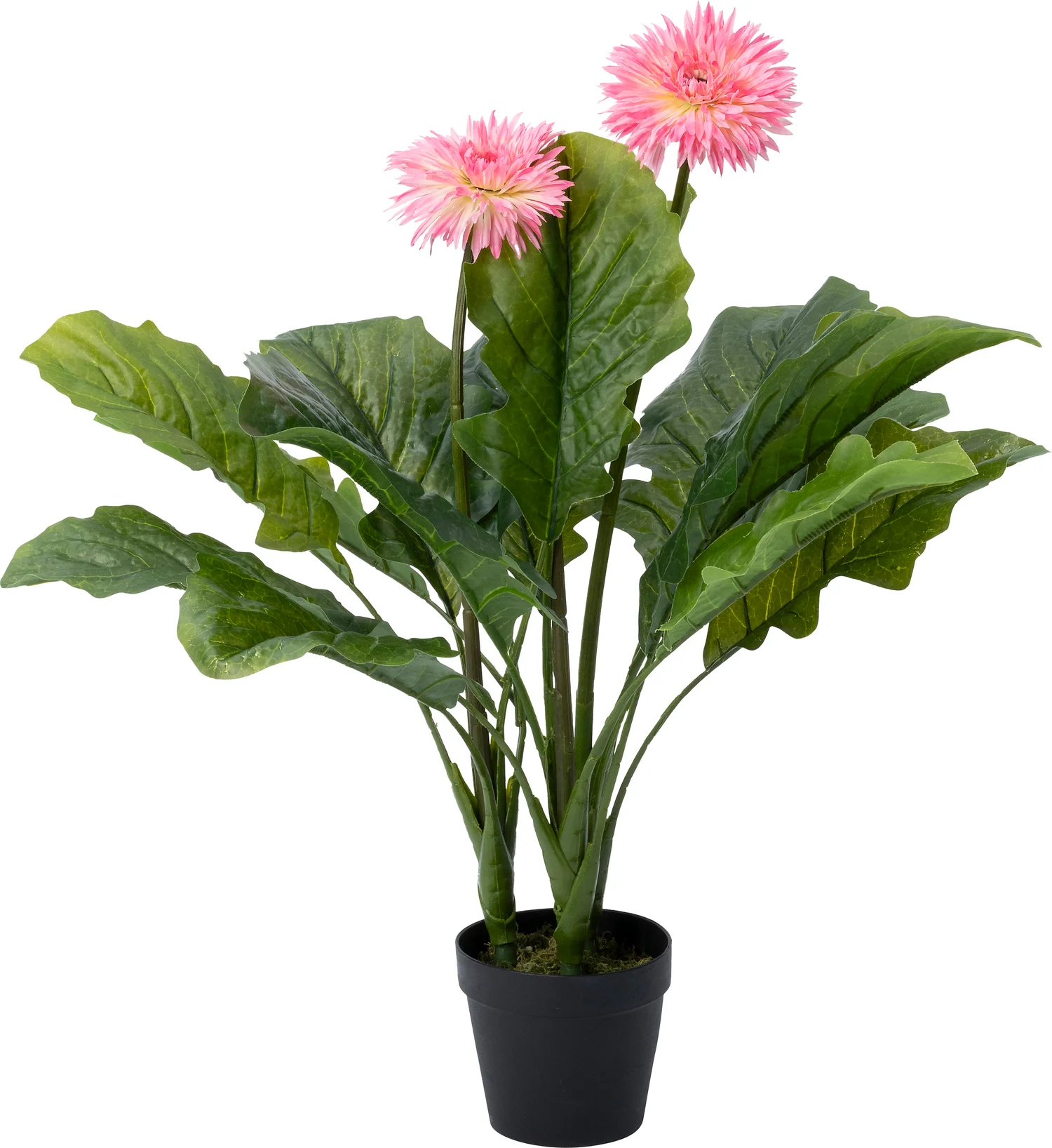 Intratuin kunstplant Gerbera roze 45 x 45 x 77 cm