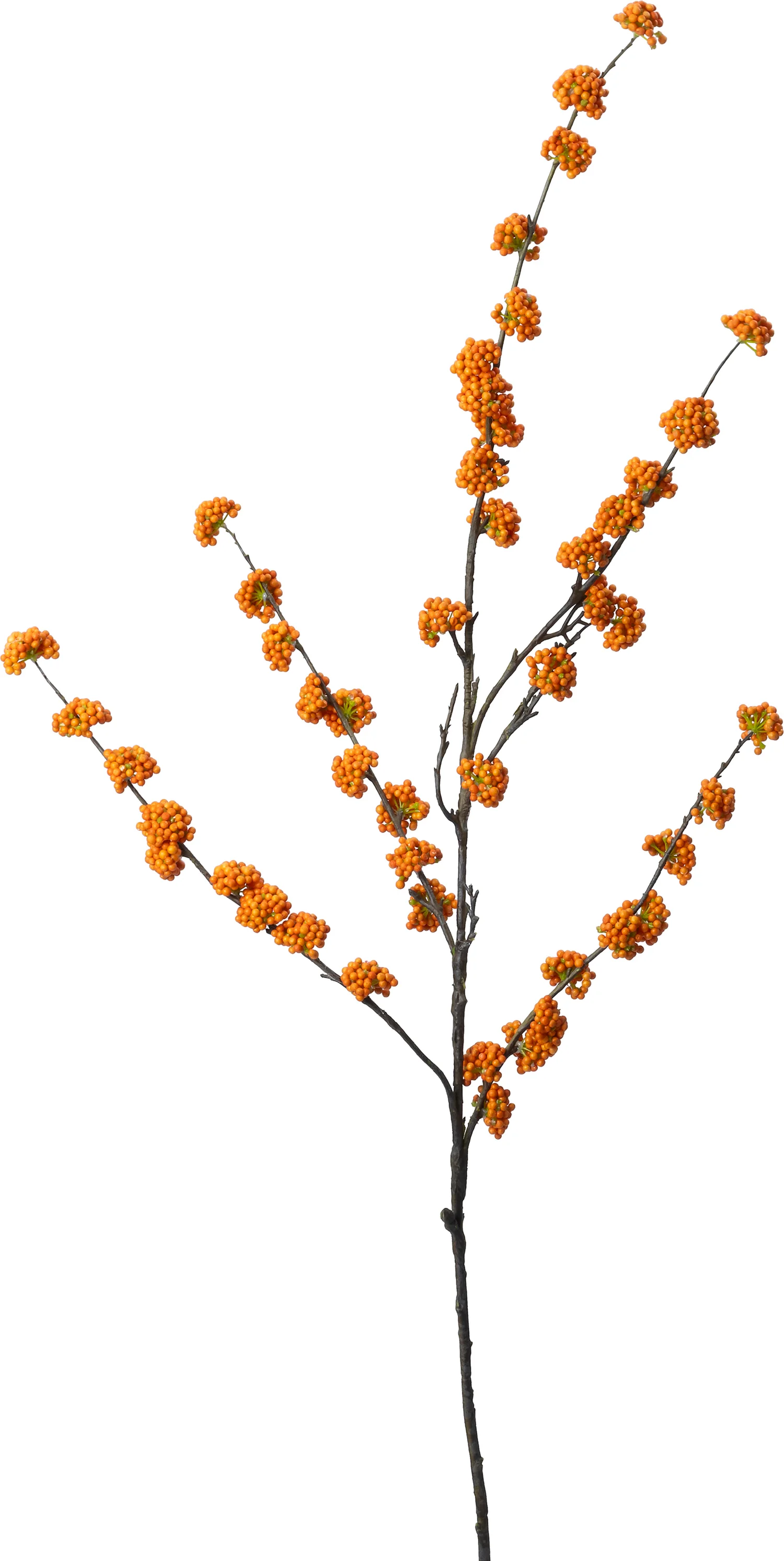 Intratuin kunsttak Schoonvrucht oranje 130 cm