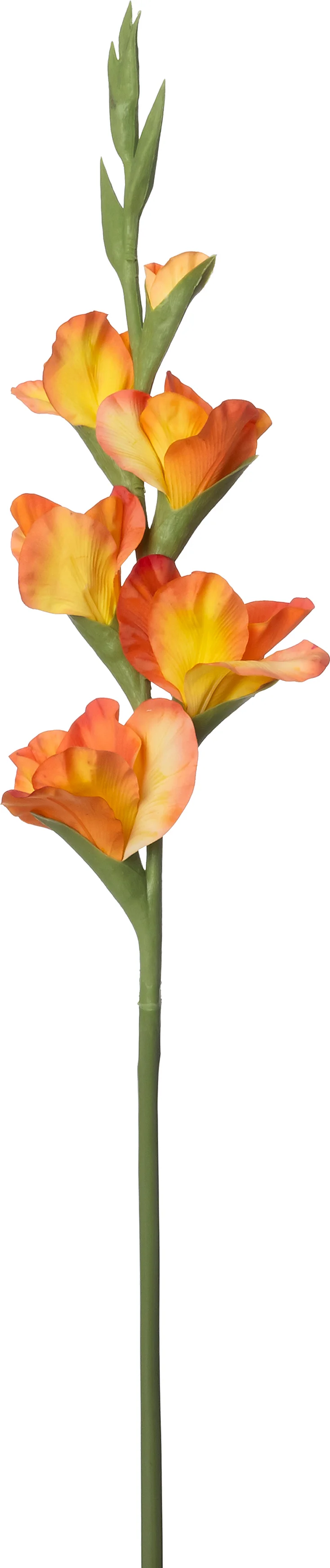 Intratuin kunstbloem Gladiool oranje H 86 cm