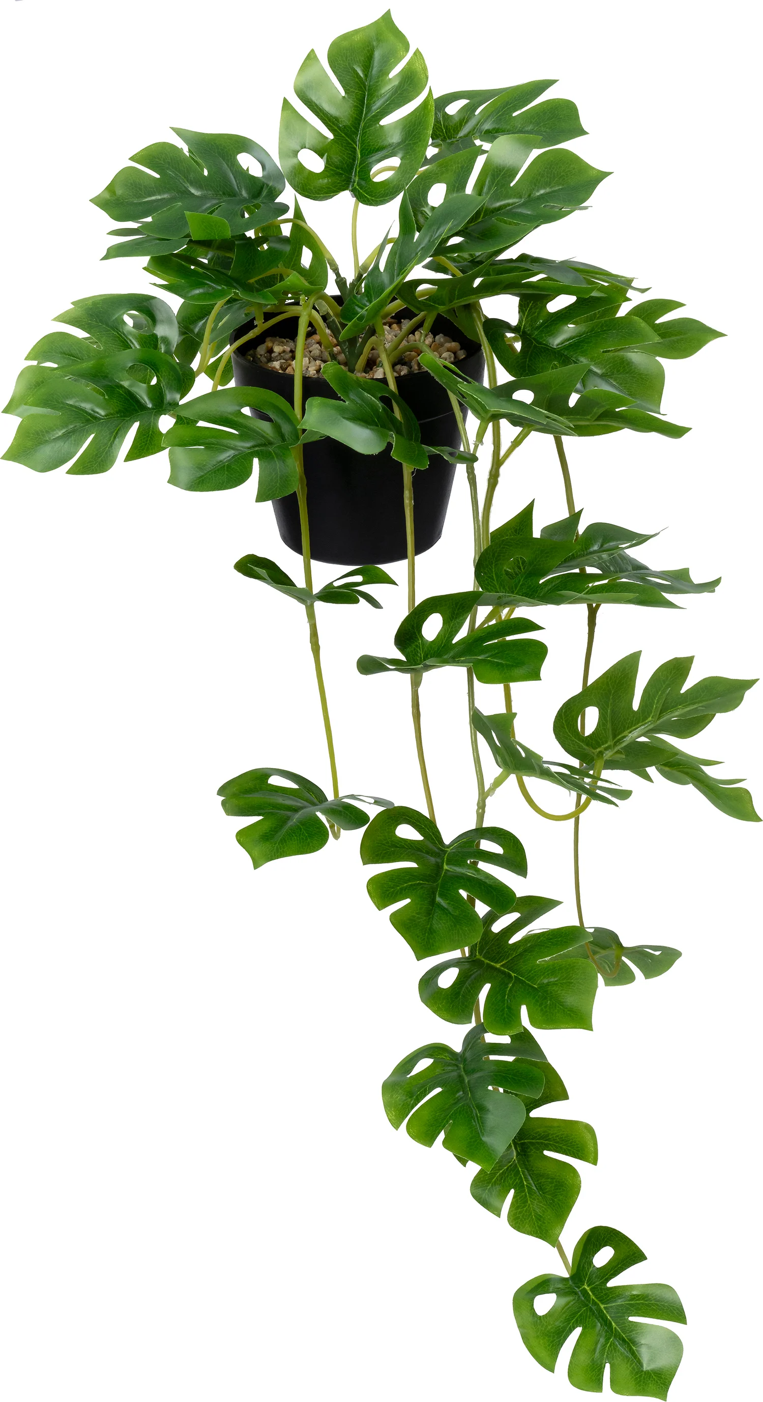 Intratuin kunstplant Gatenplant 20 x 21 x 70 cm
