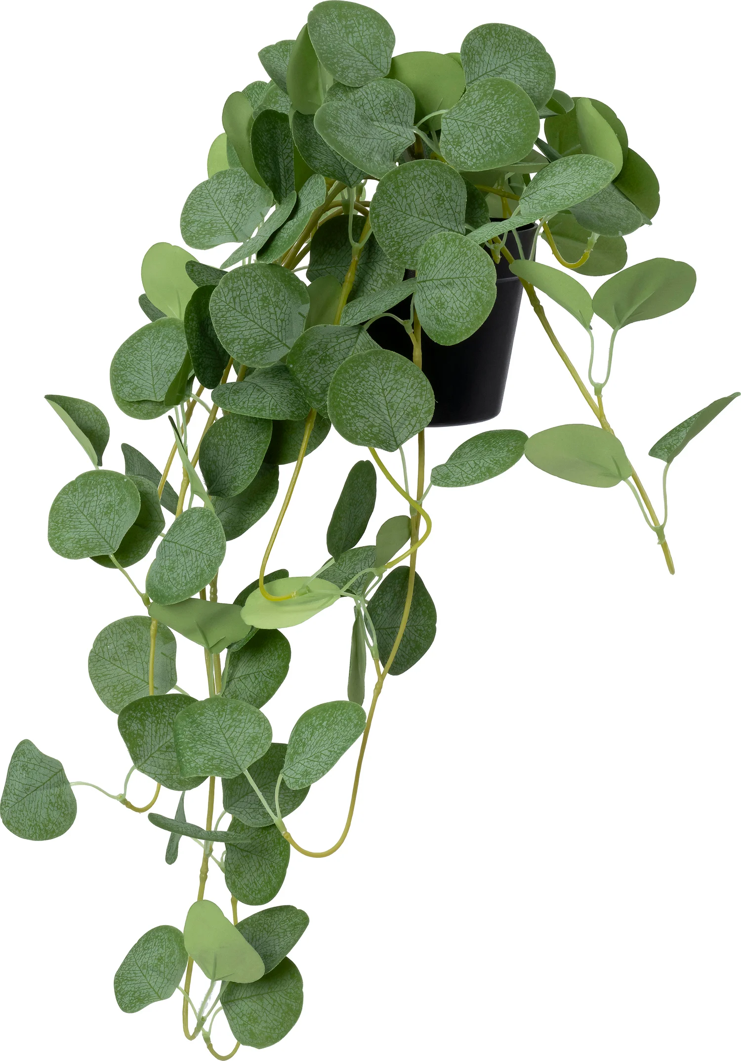 Intratuin kunstplant Eucalyptus grijsgroen 20 x 22 x 70 cm