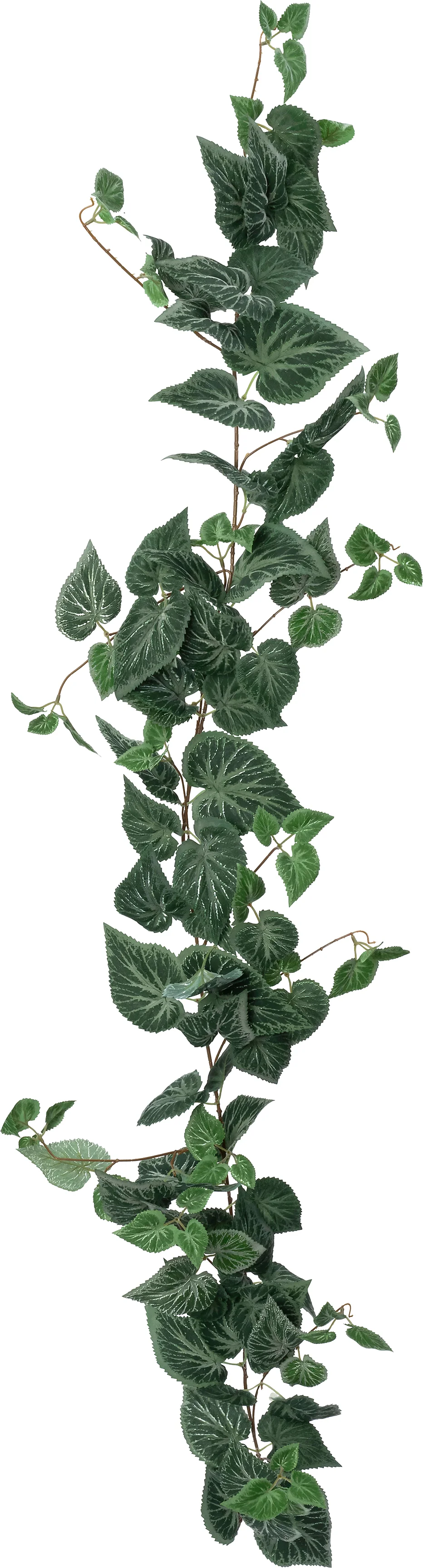 Intratuin kunsttak Bladbegonia 170 cm