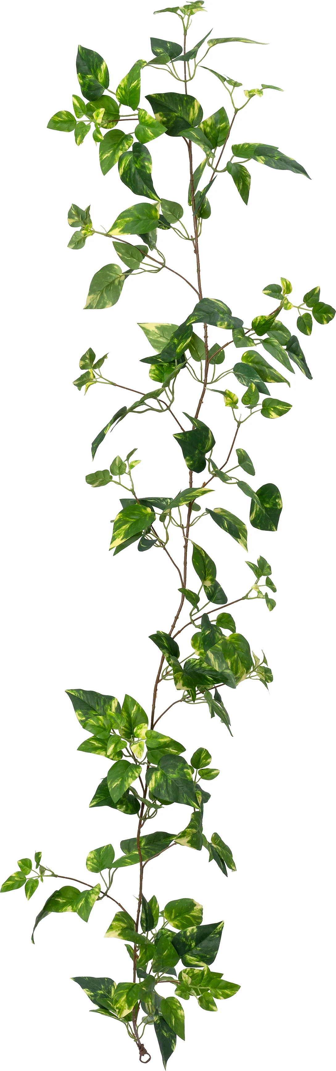 Intratuin kunsttak Klimop groen / geel 170 cm