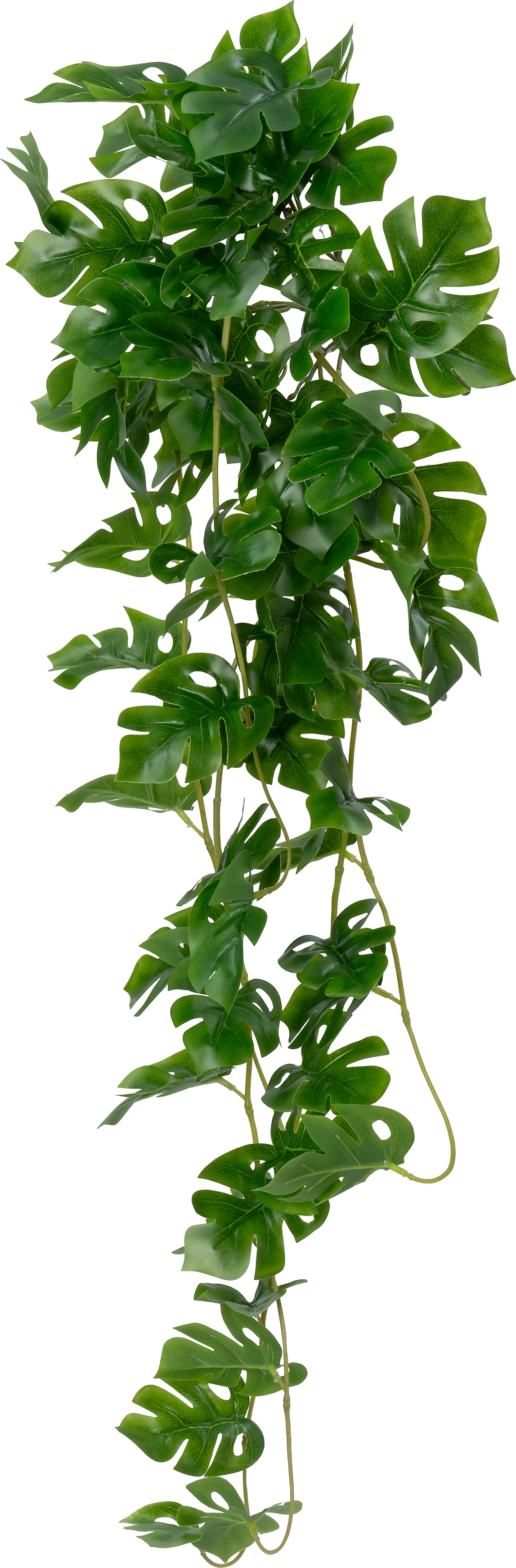 Intratuin kunsthangplant Gatenplant groen 19 x 20 x 92 cm