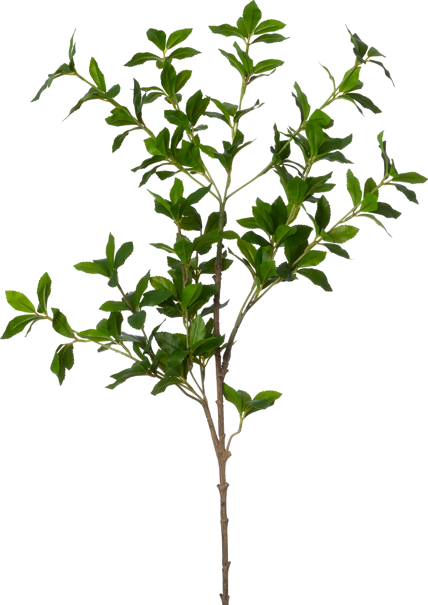 Intratuin kunsttak Liguster 96 cm
