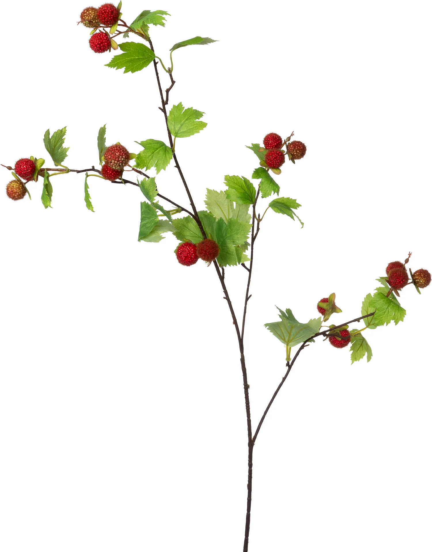 Intratuin kunsttak Framboos rood 98 cm