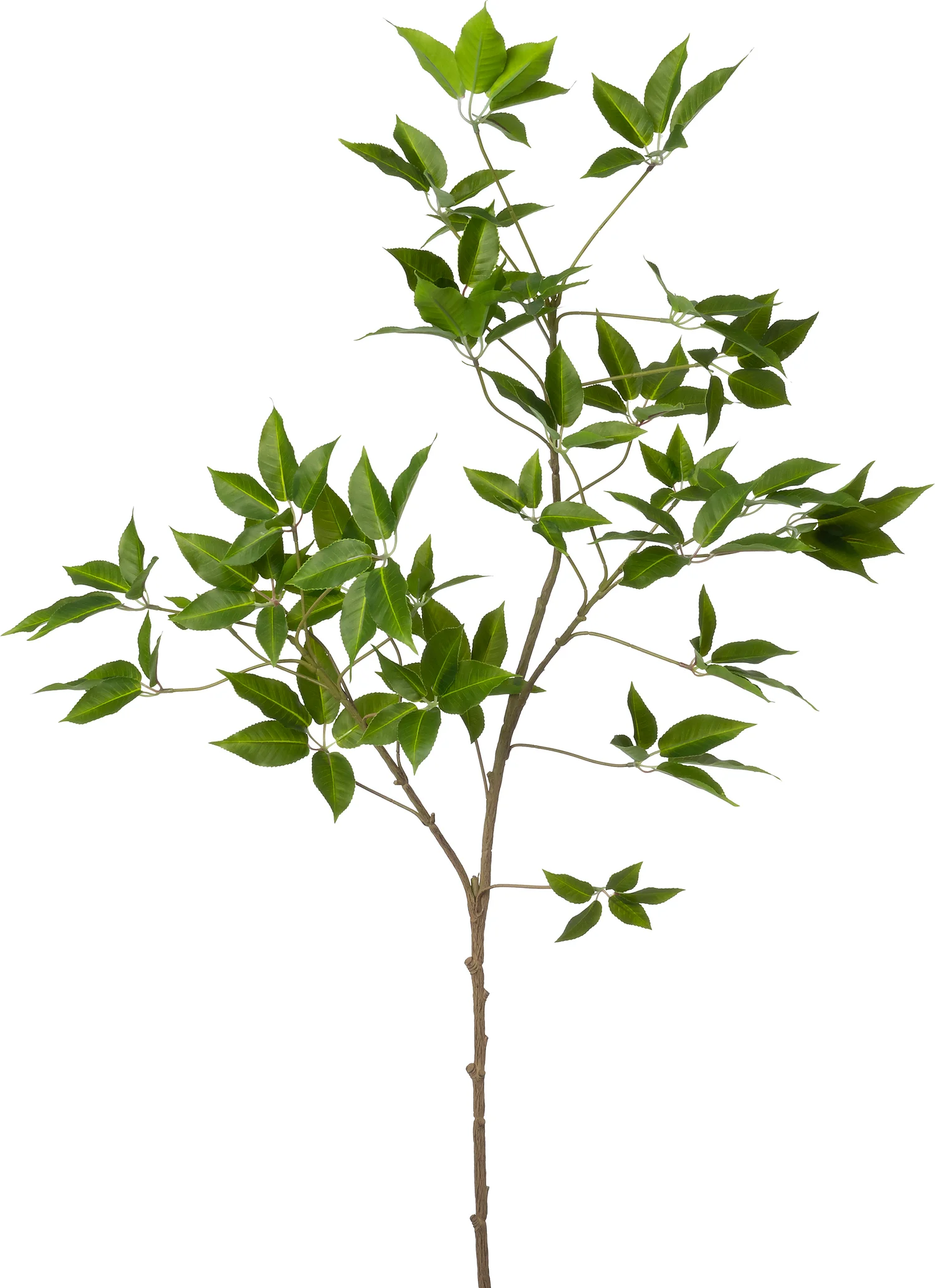 Intratuin kunsttak Bamboe 102 cm