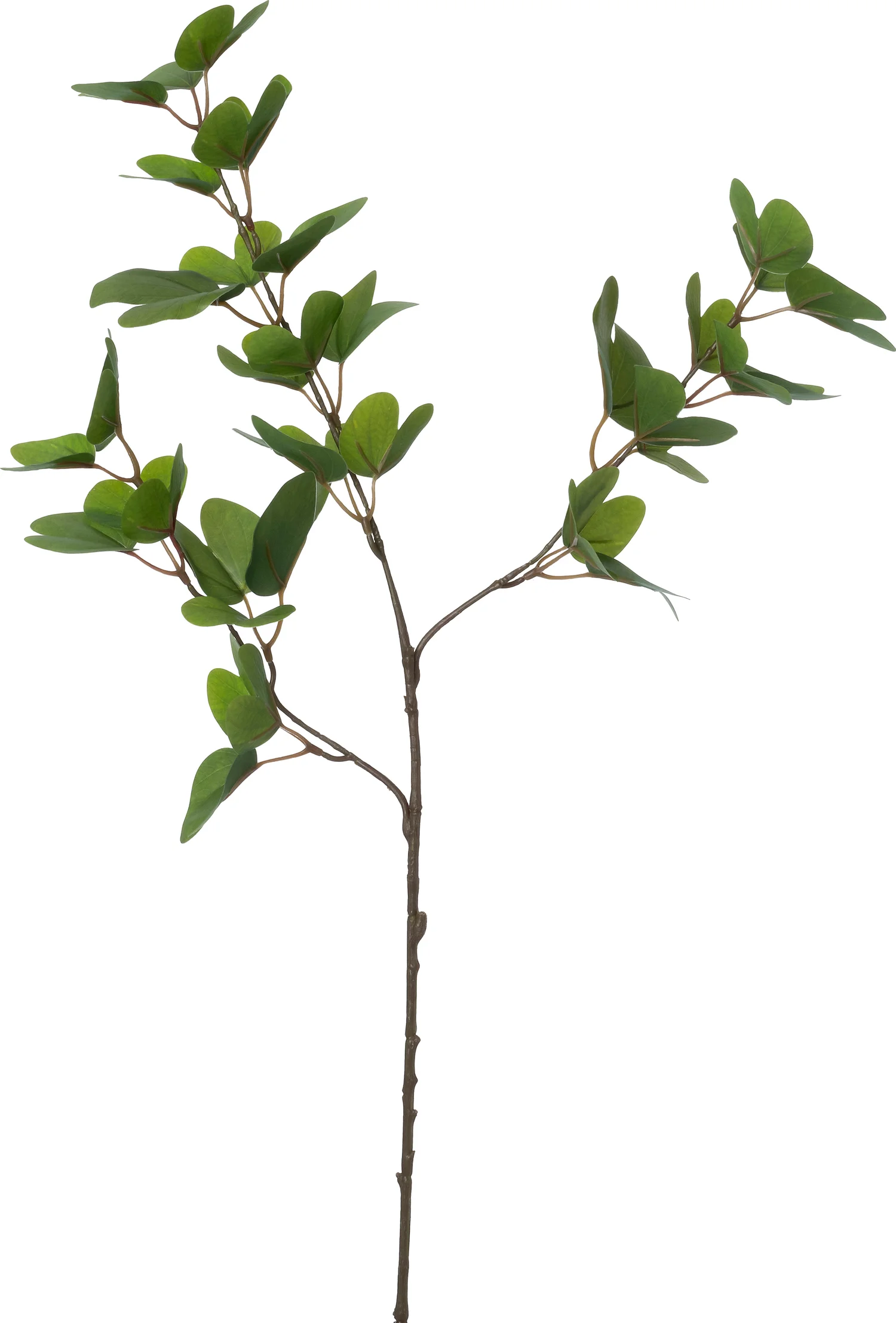 Intratuin kunsttak Orchideeënboom groen H 88 cm