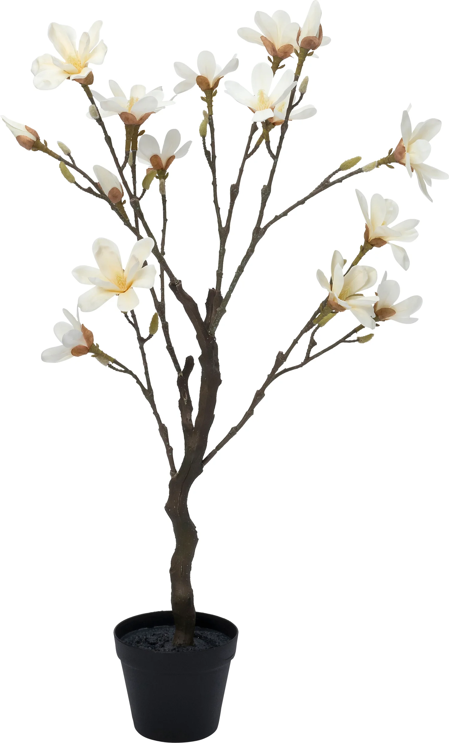 Intratuin kunstplant Magnolia wit H 98 cm